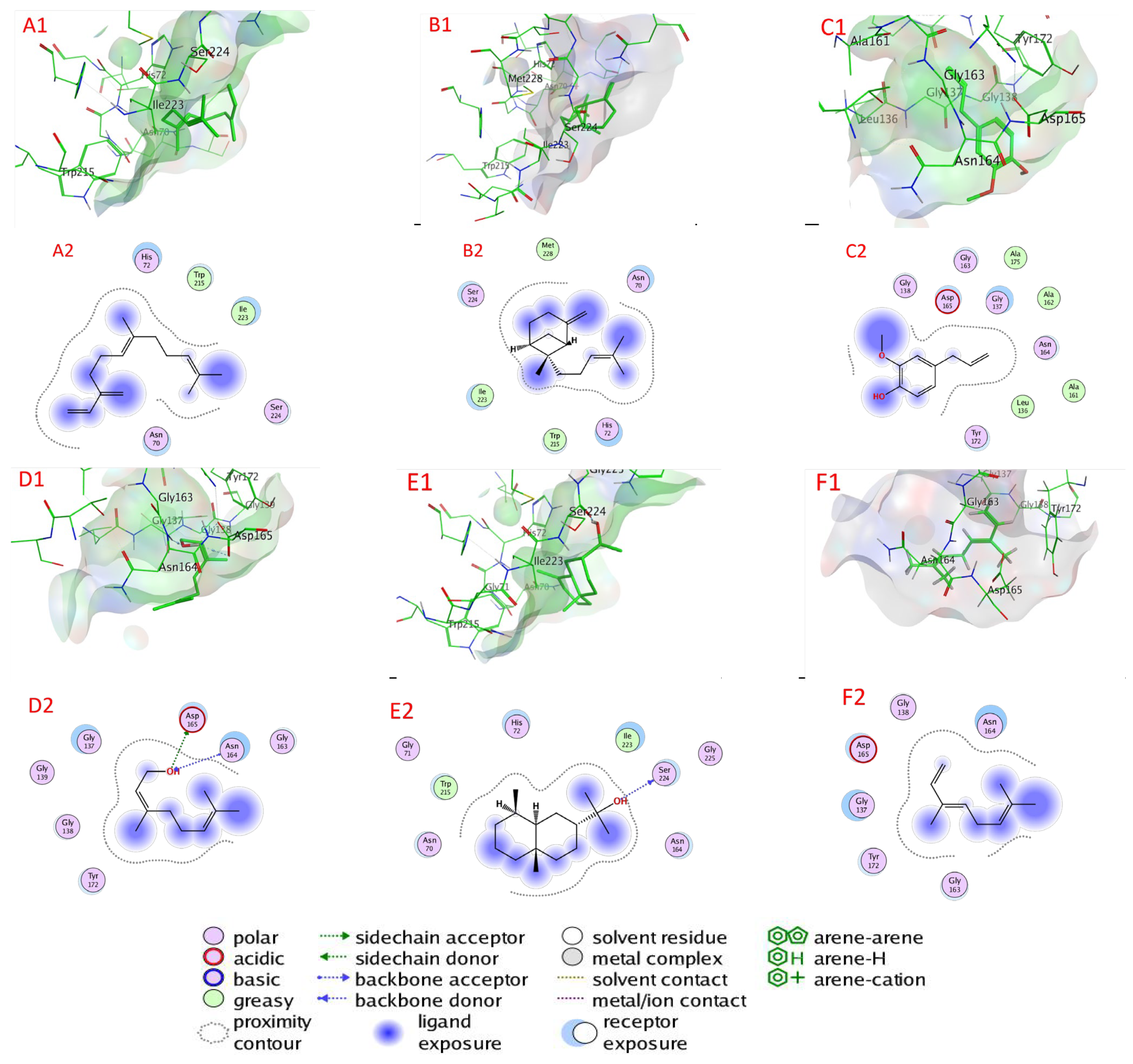Plants 11 02949 g006