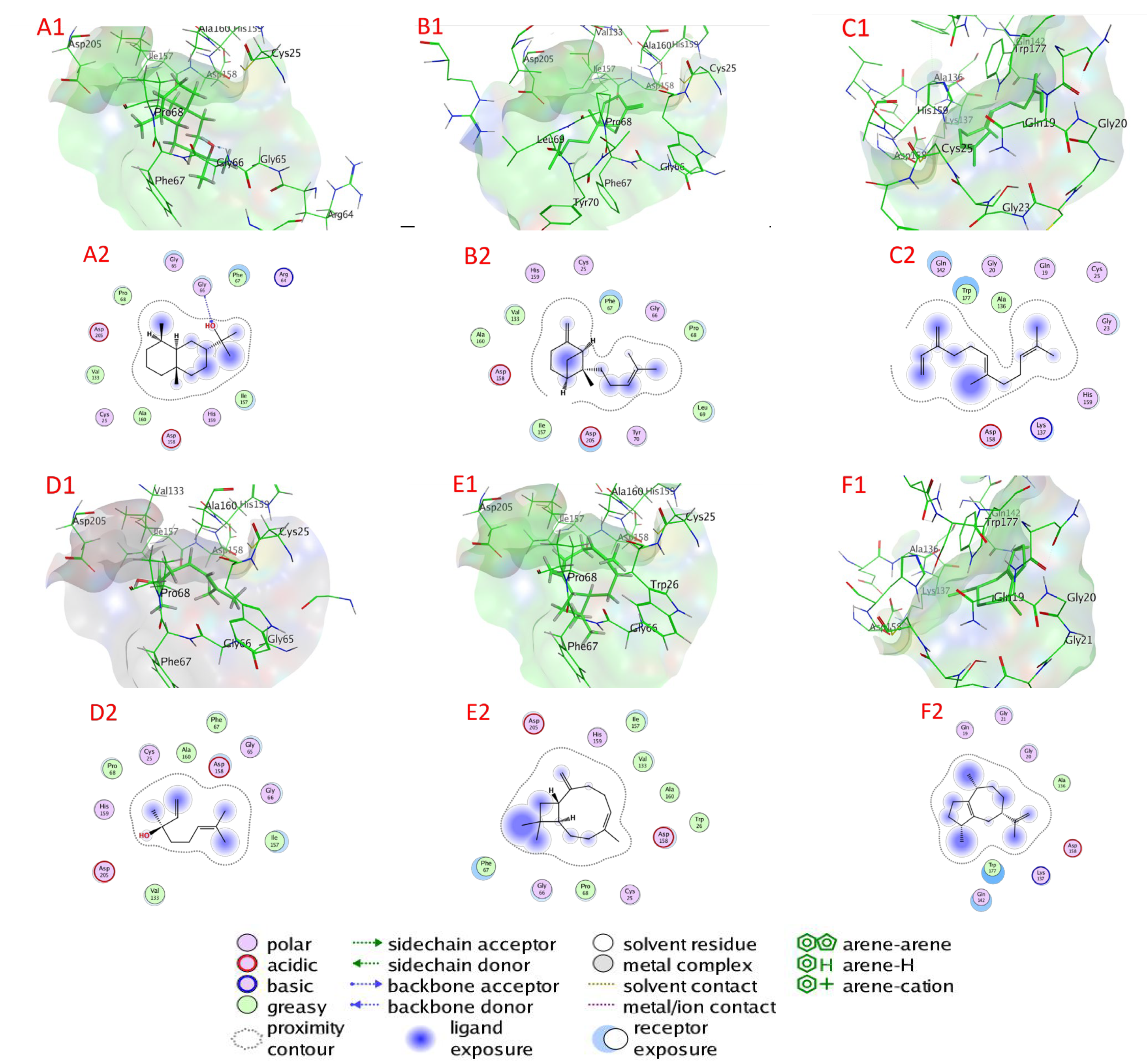 Plants 11 02949 g007