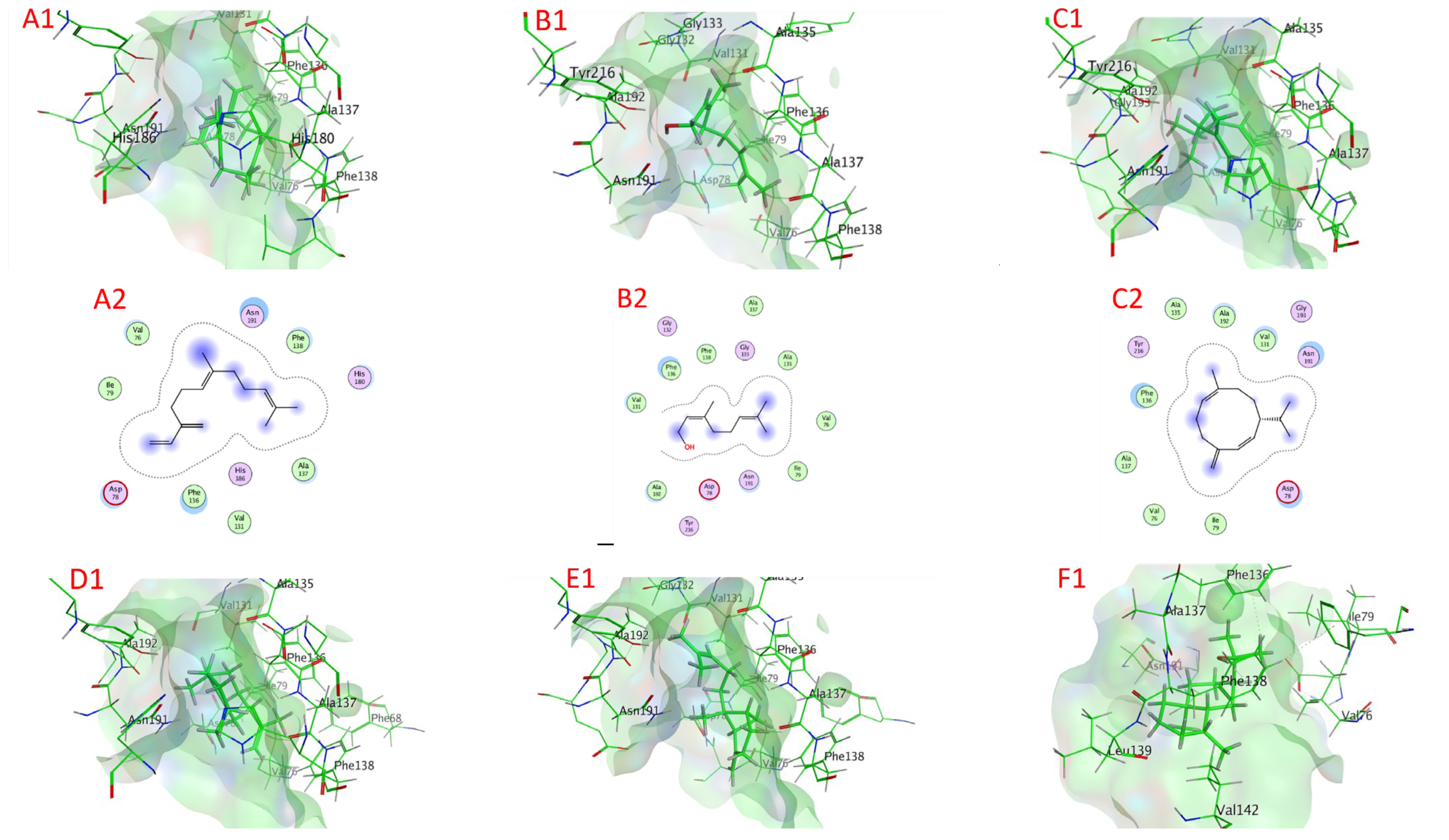 Plants 11 02949 g008a