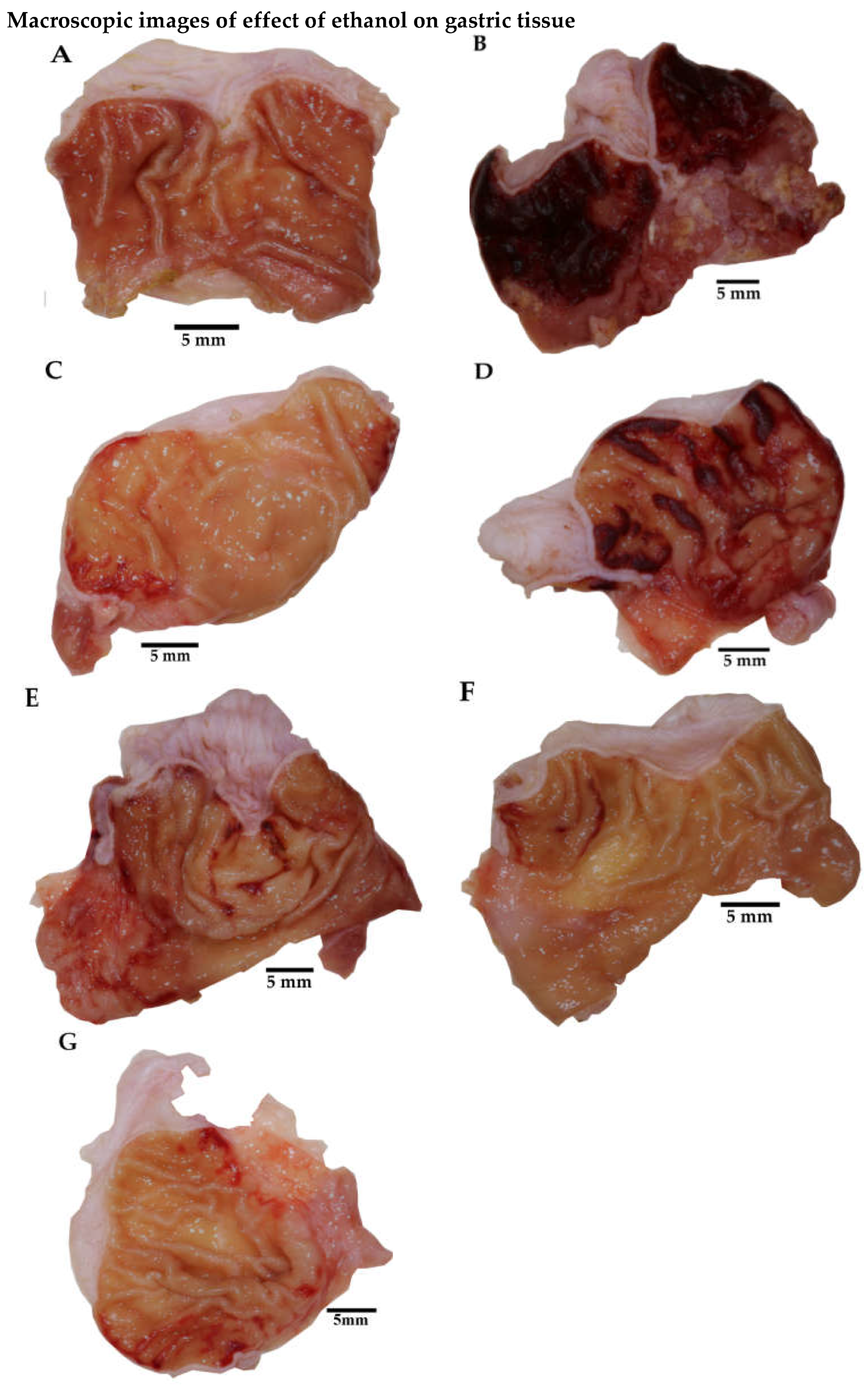 Plants 11 02951 g004