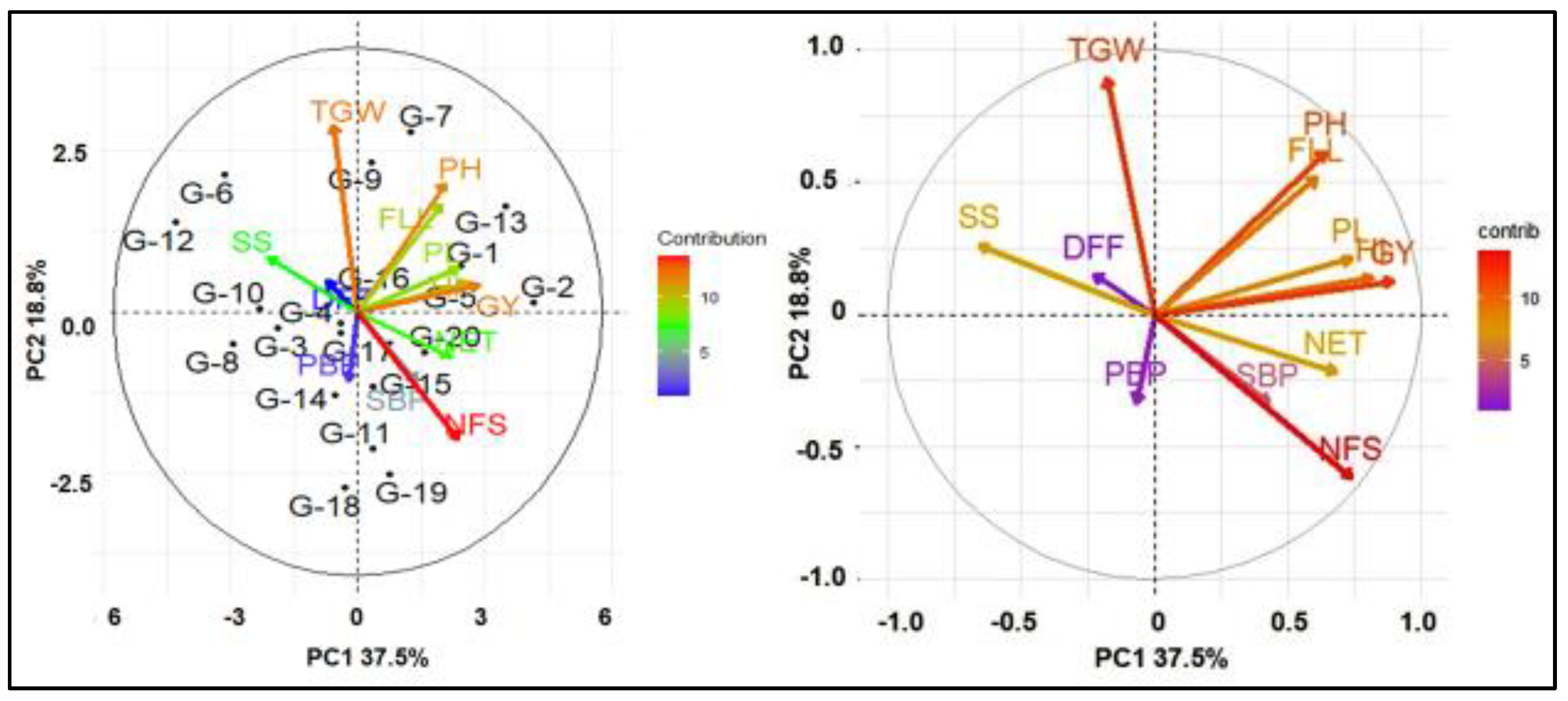 Plants 11 02952 g002
