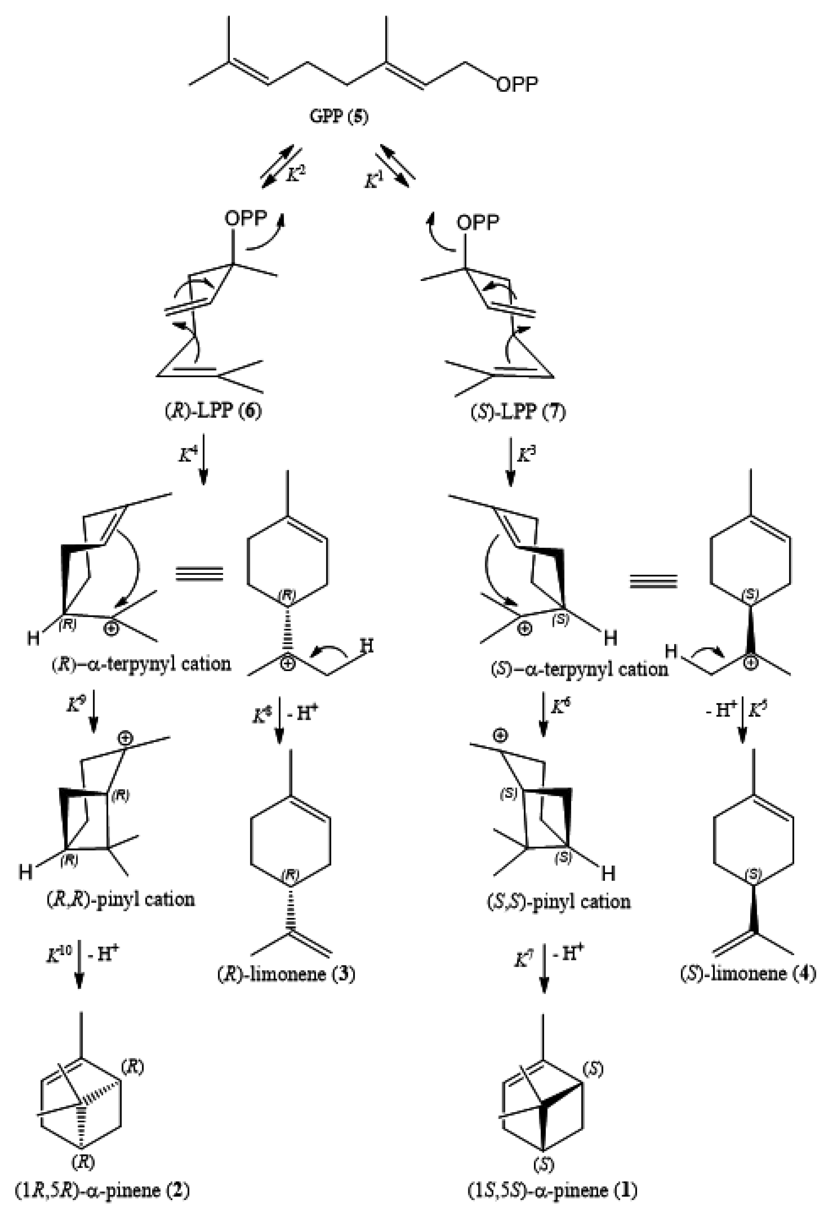 Plants 11 02962 sch001