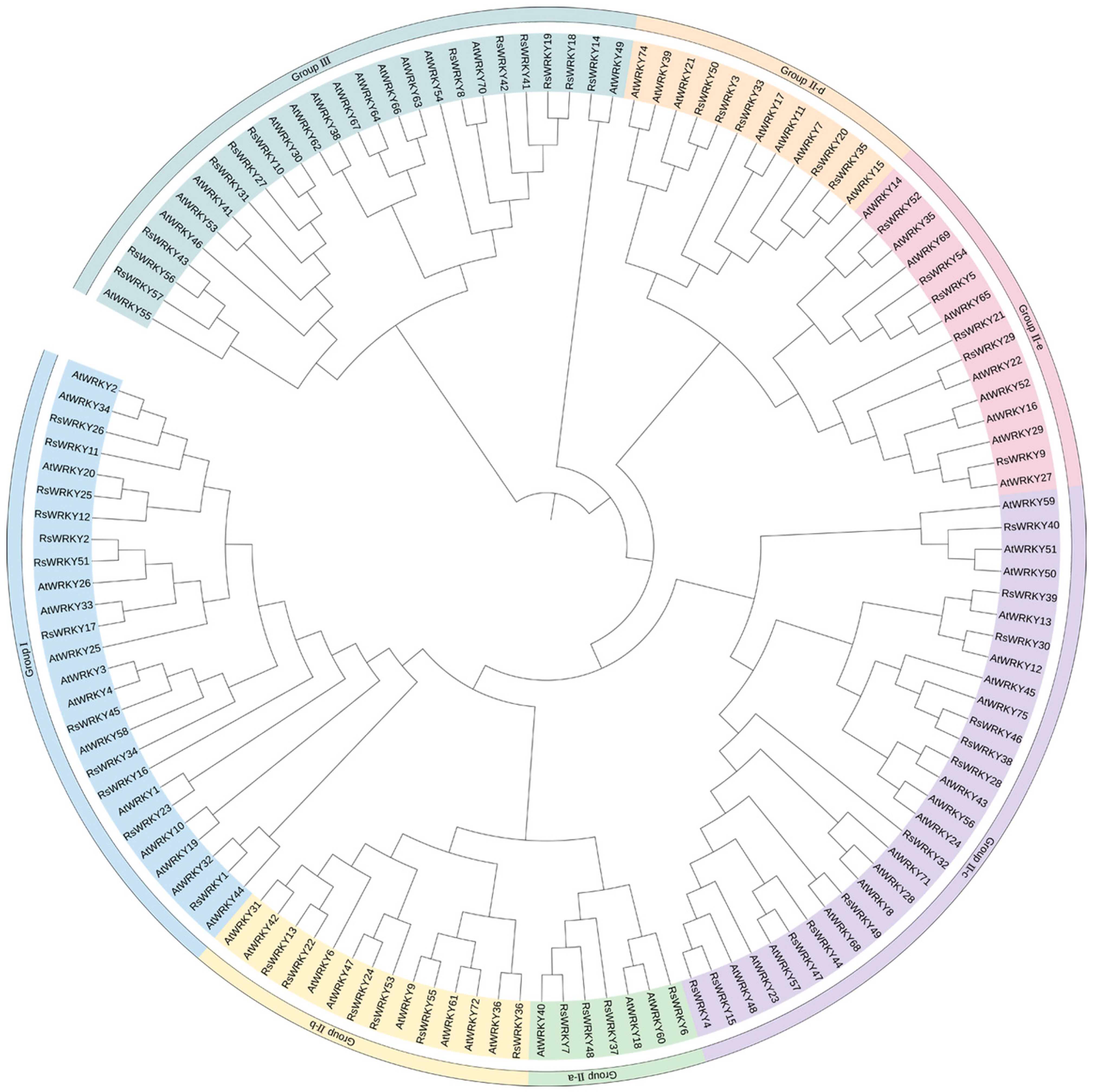 Plants 11 02967 g002