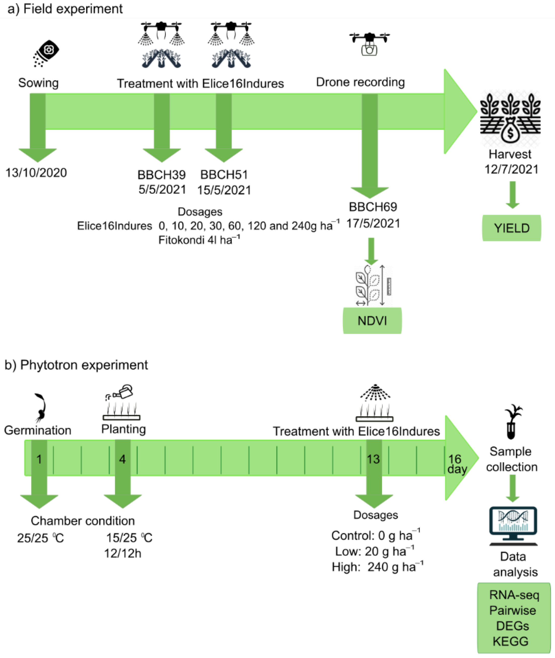 Plants 11 02969 g010