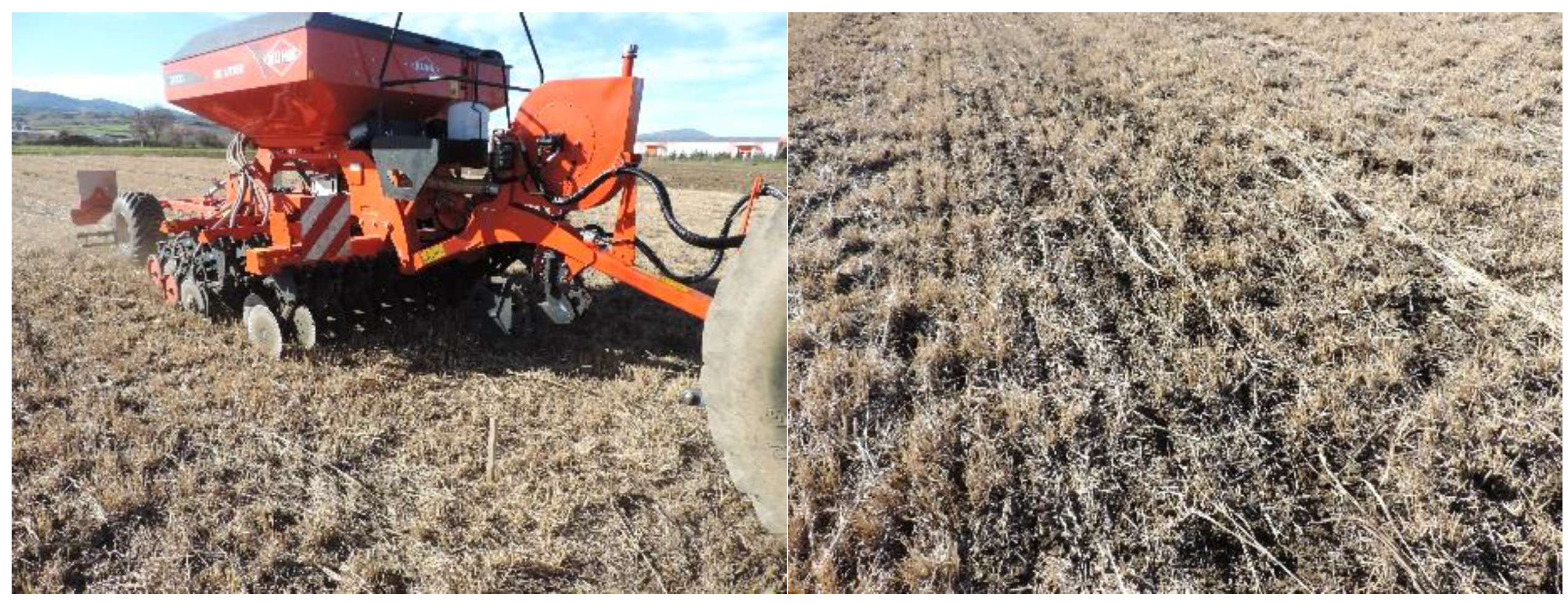 Plants 11 02970 g002 Plants 11 02970 g002