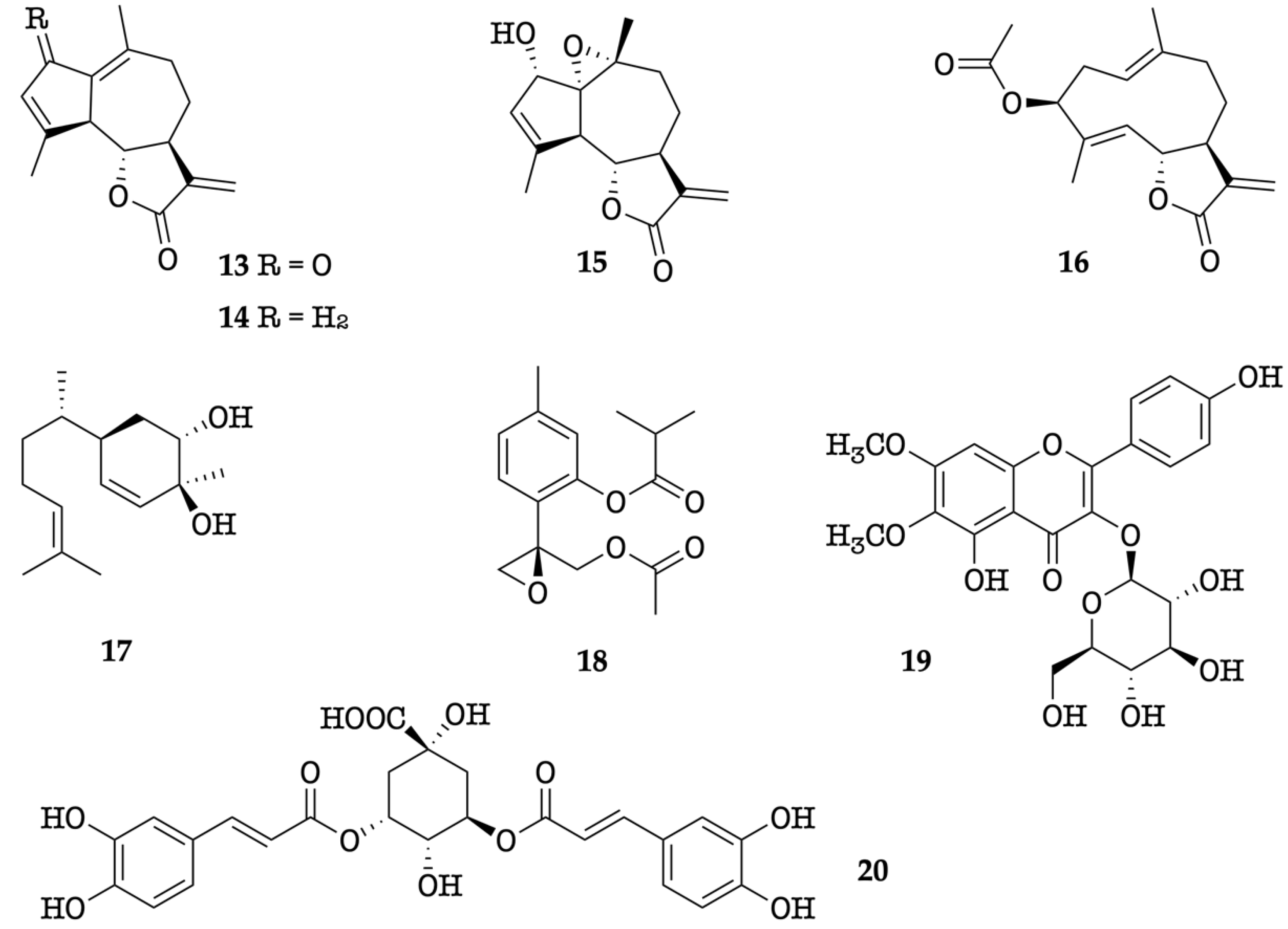 Plants 11 02972 g007