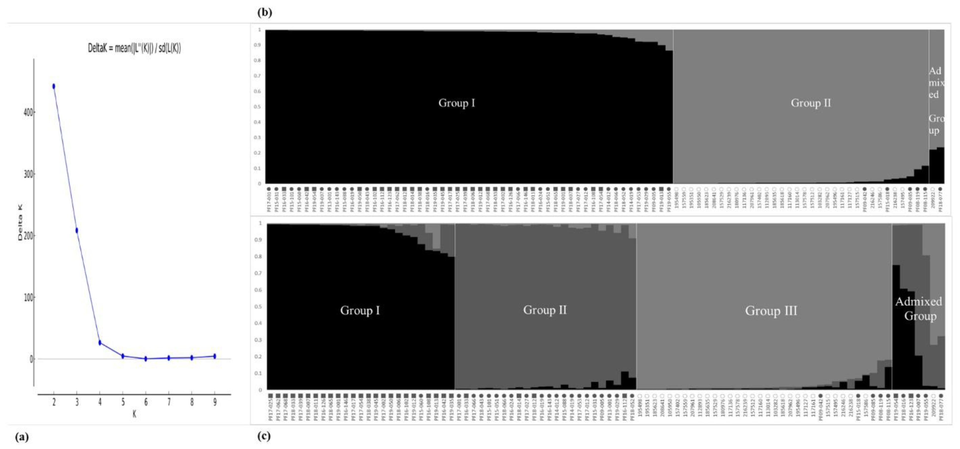 Plants 11 02974 g001