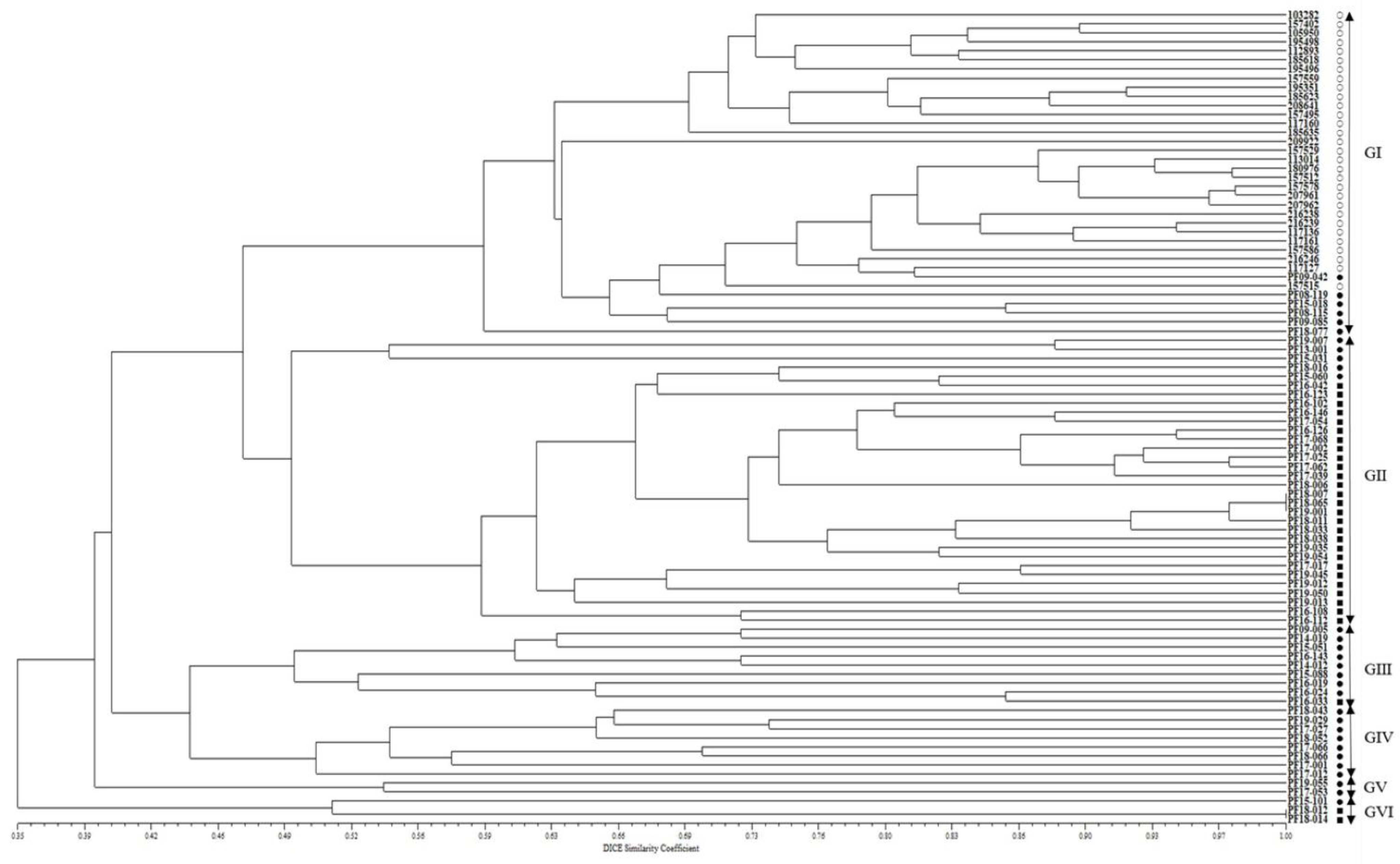 Plants 11 02974 g002