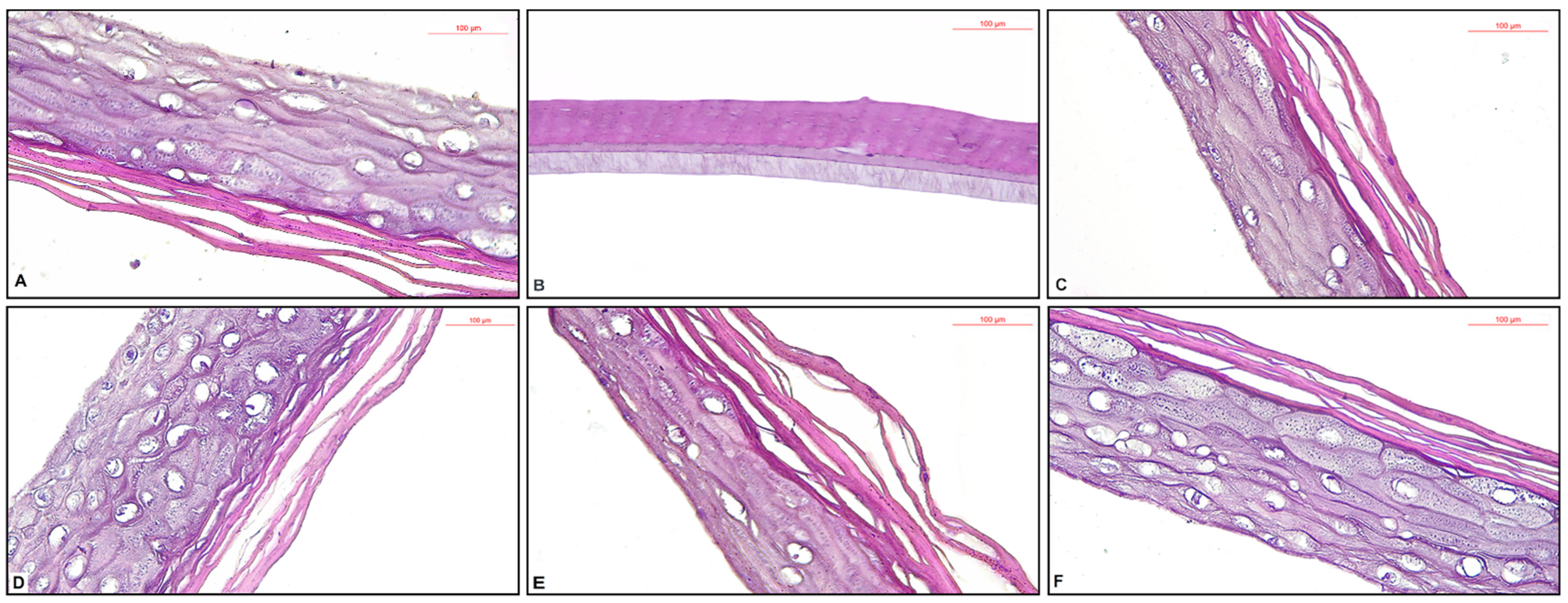 Plants 11 02977 g003