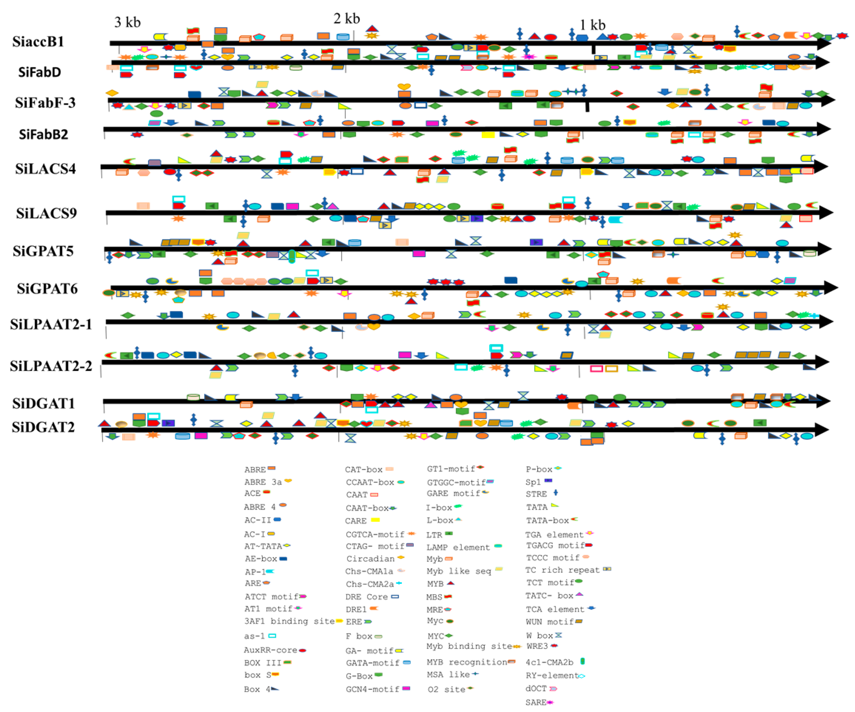 Plants 11 02980 g003