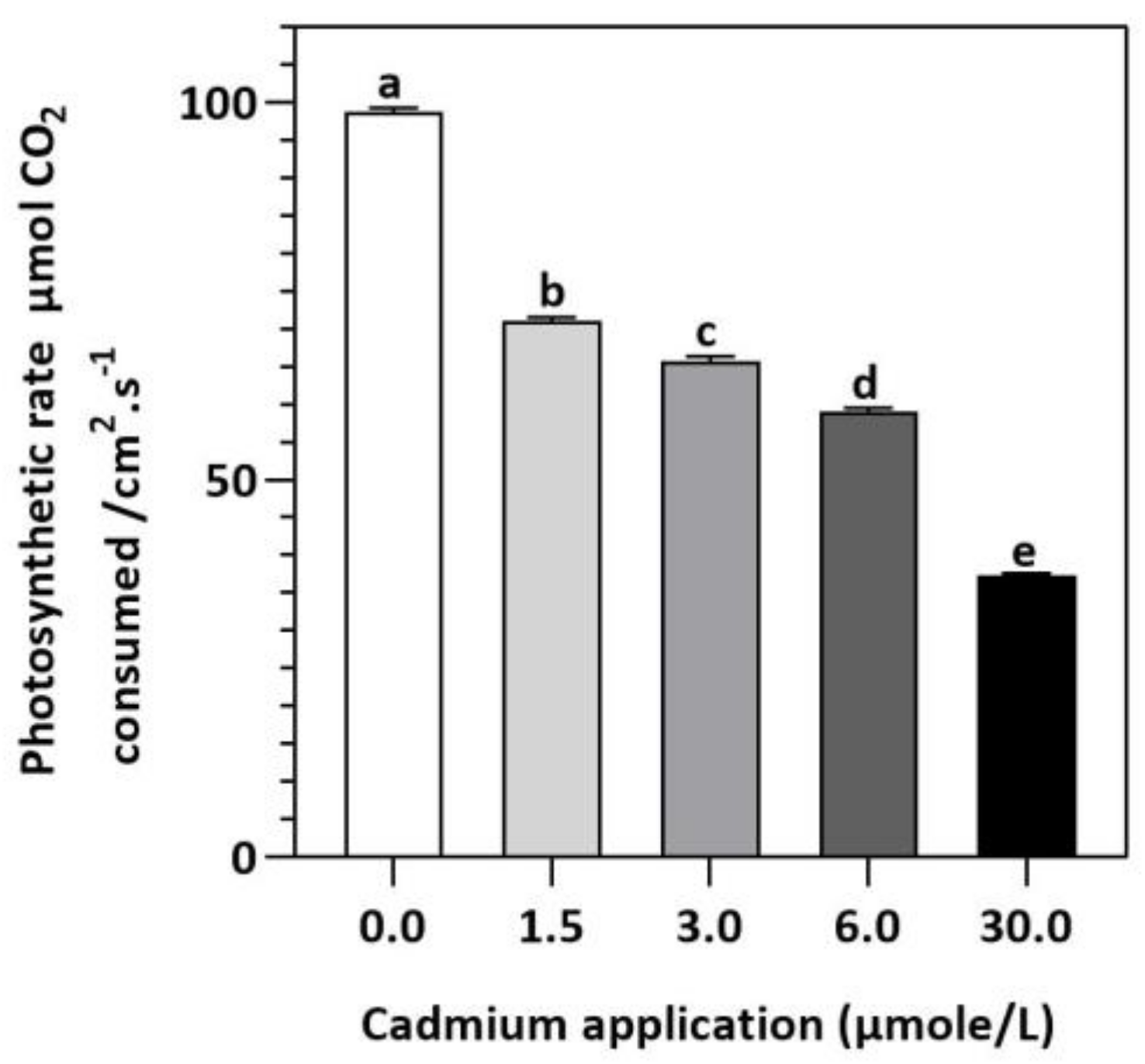 Plants 11 02981 g002