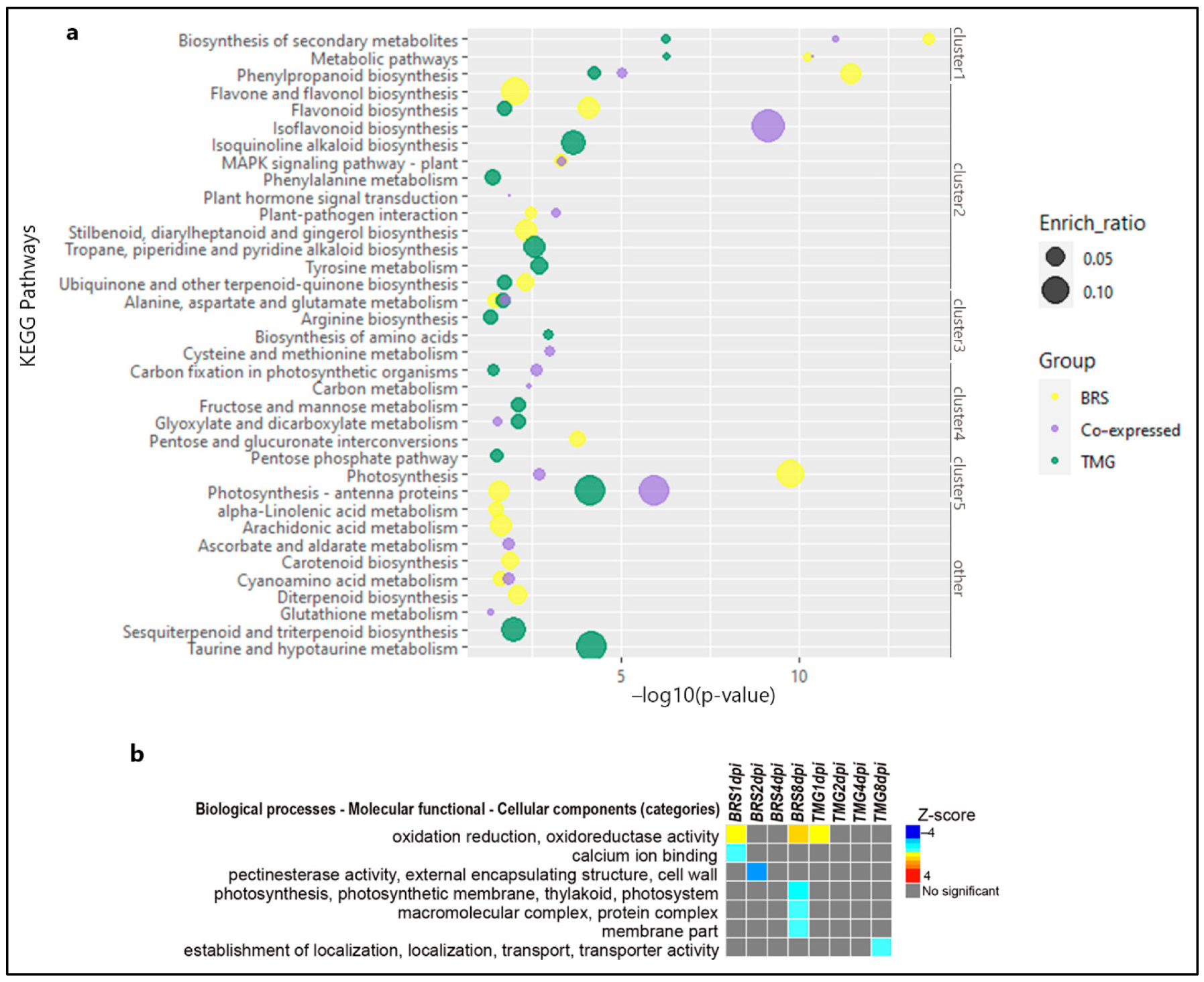 Plants 11 02983 g002