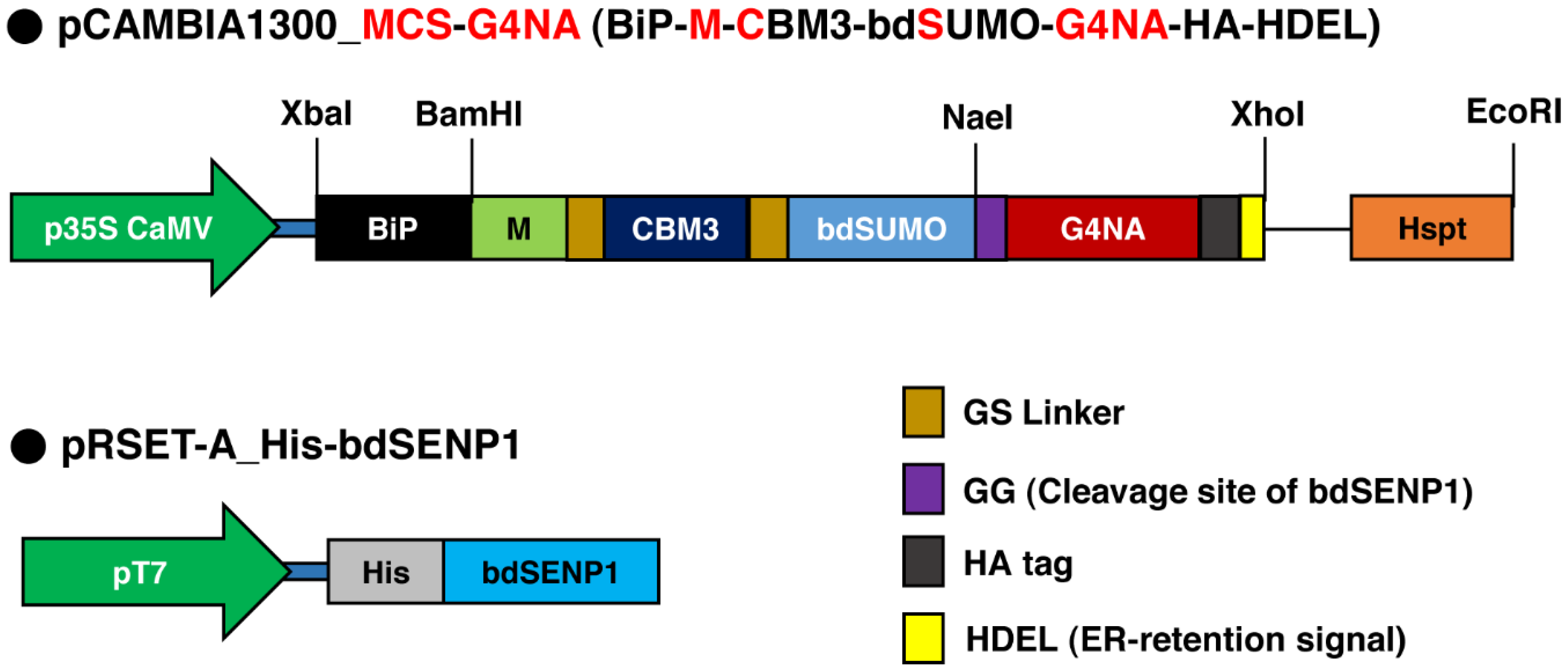 Plants 11 02984 g001