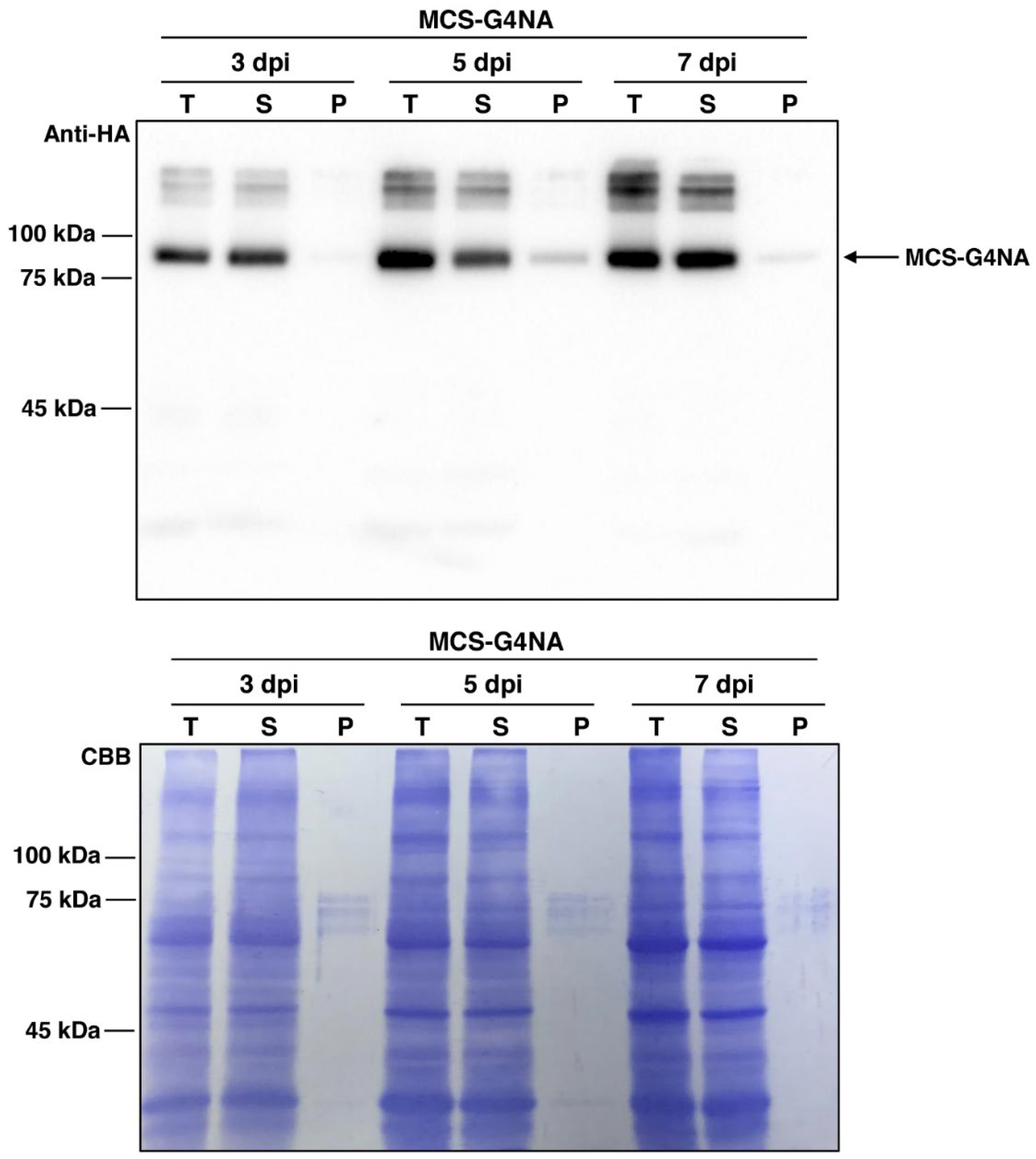 Plants 11 02984 g002