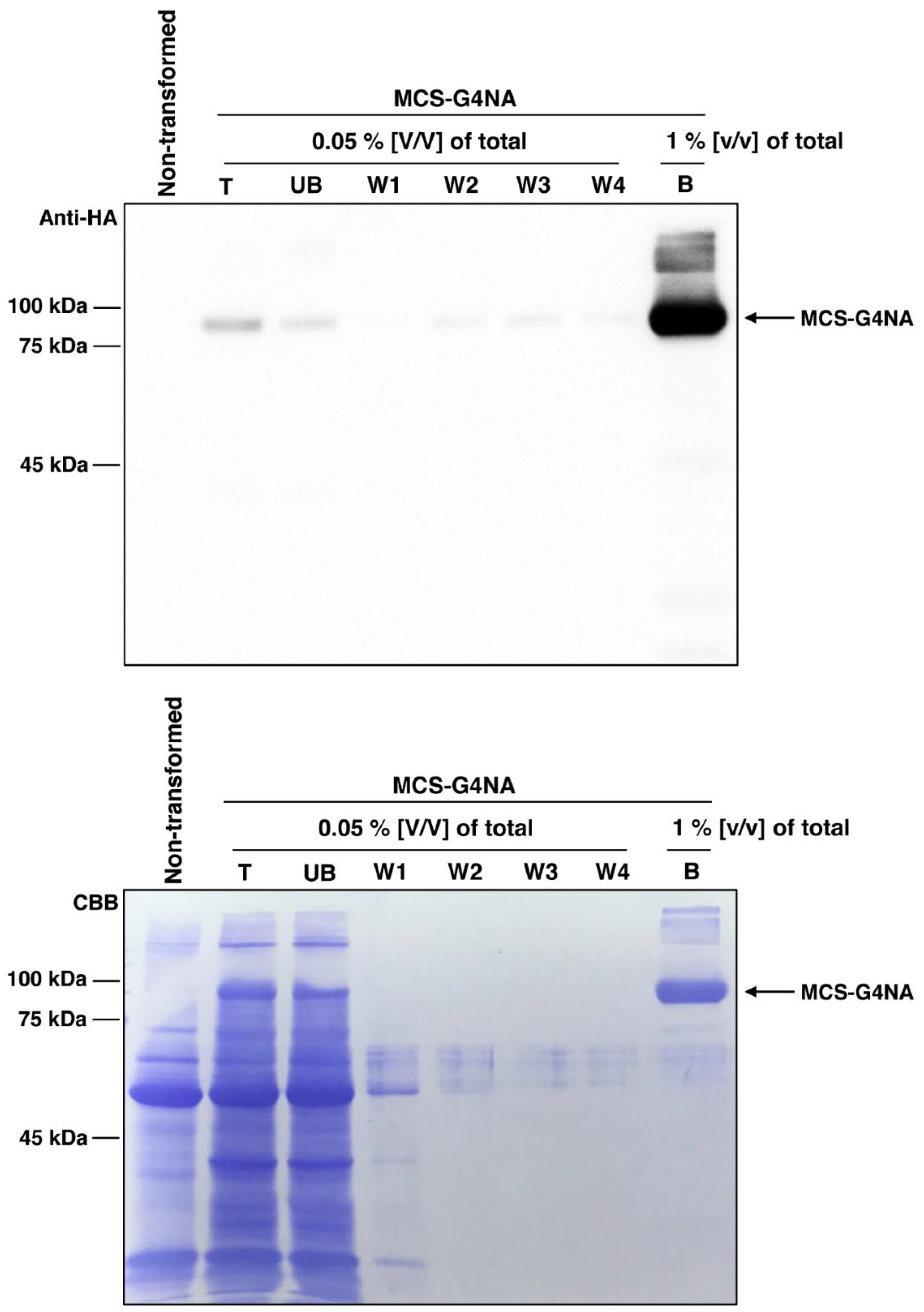 Plants 11 02984 g003