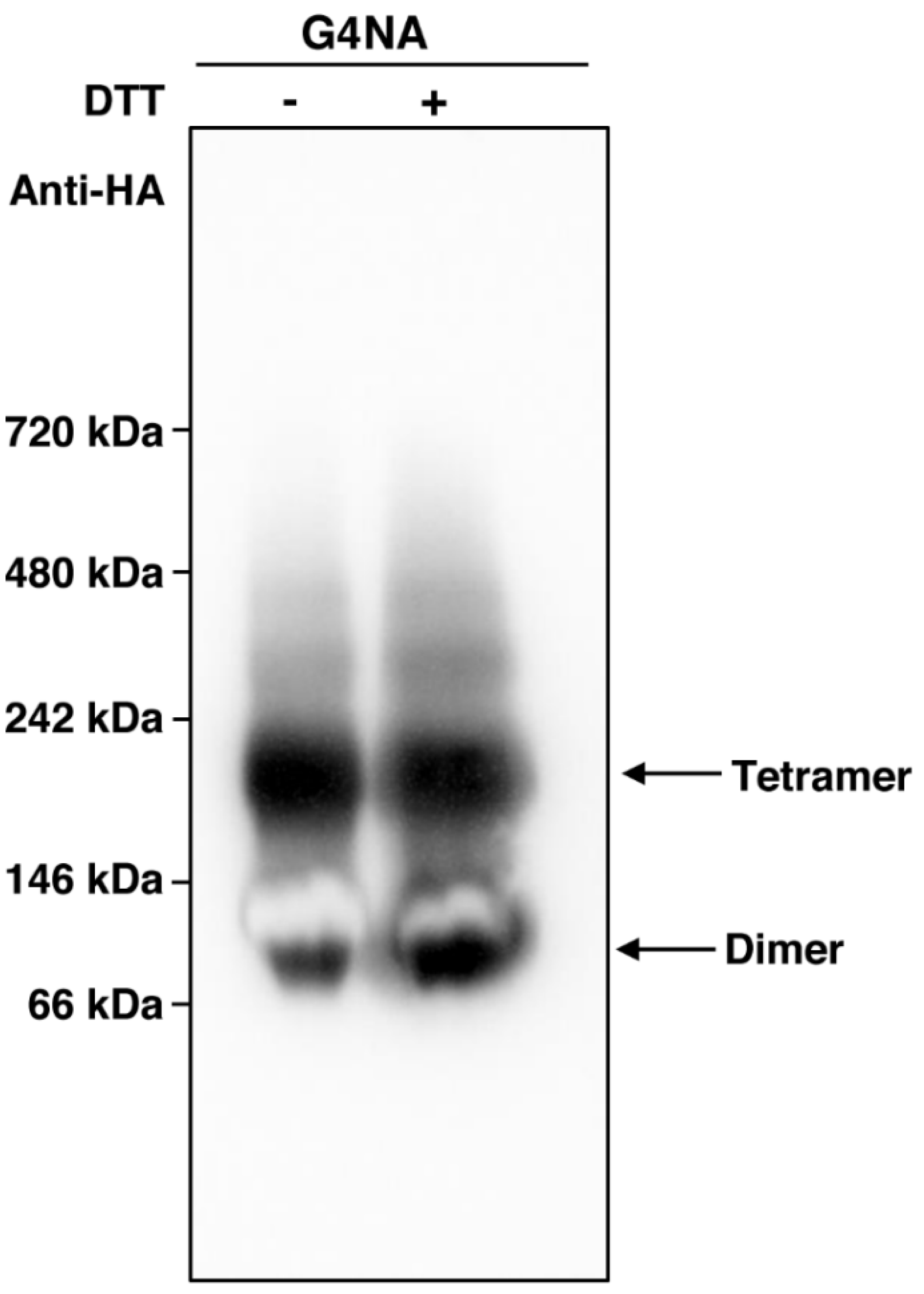 Plants 11 02984 g005