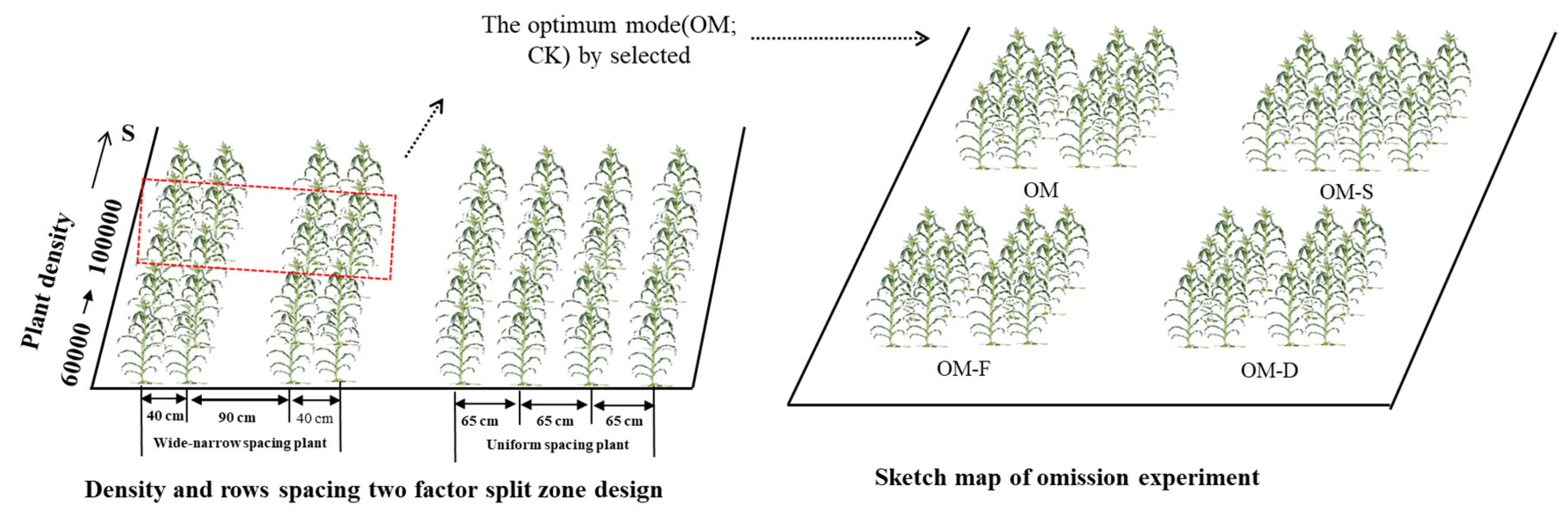 Plants 11 02985 g007