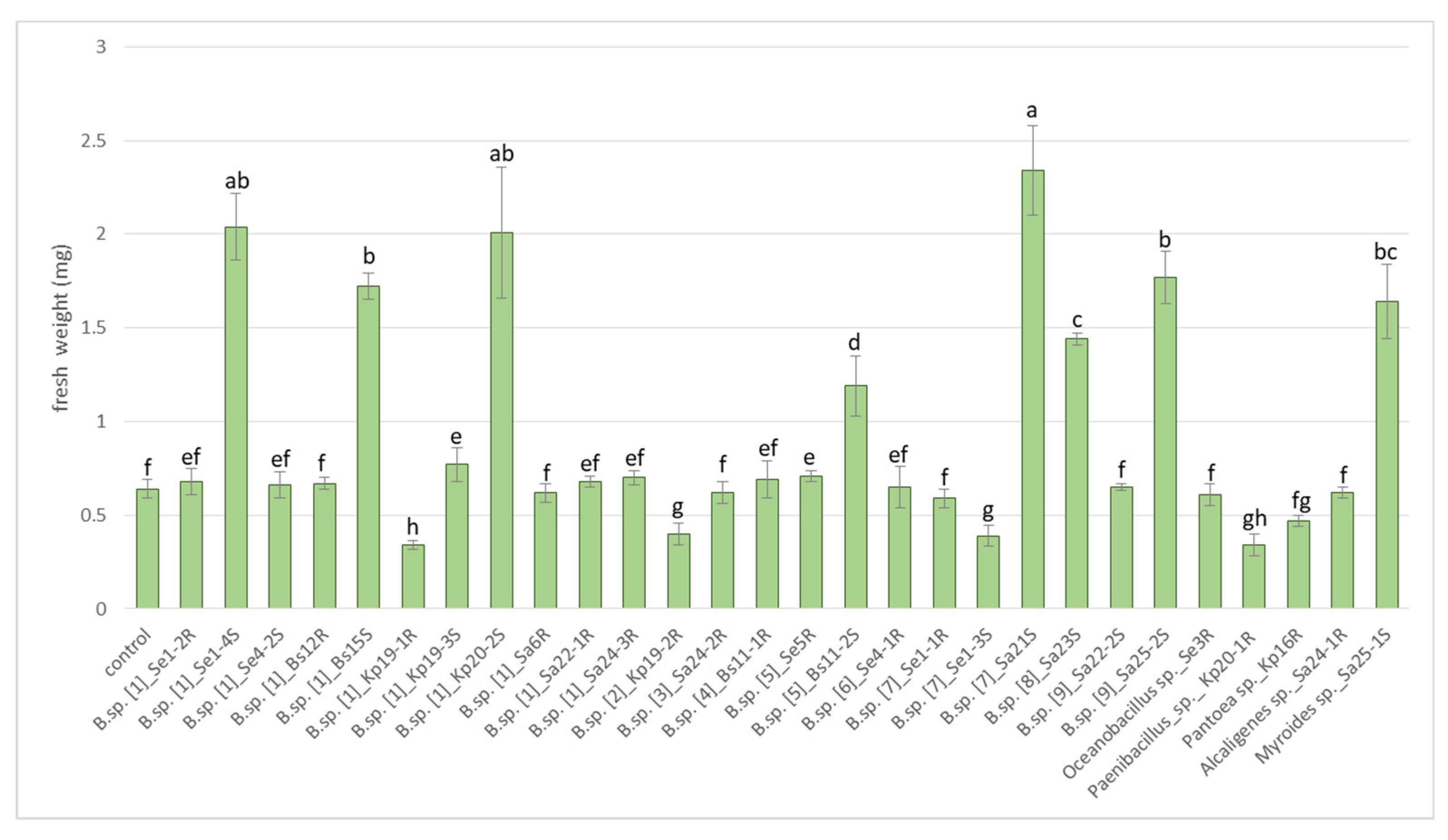 Plants 11 02992 g004