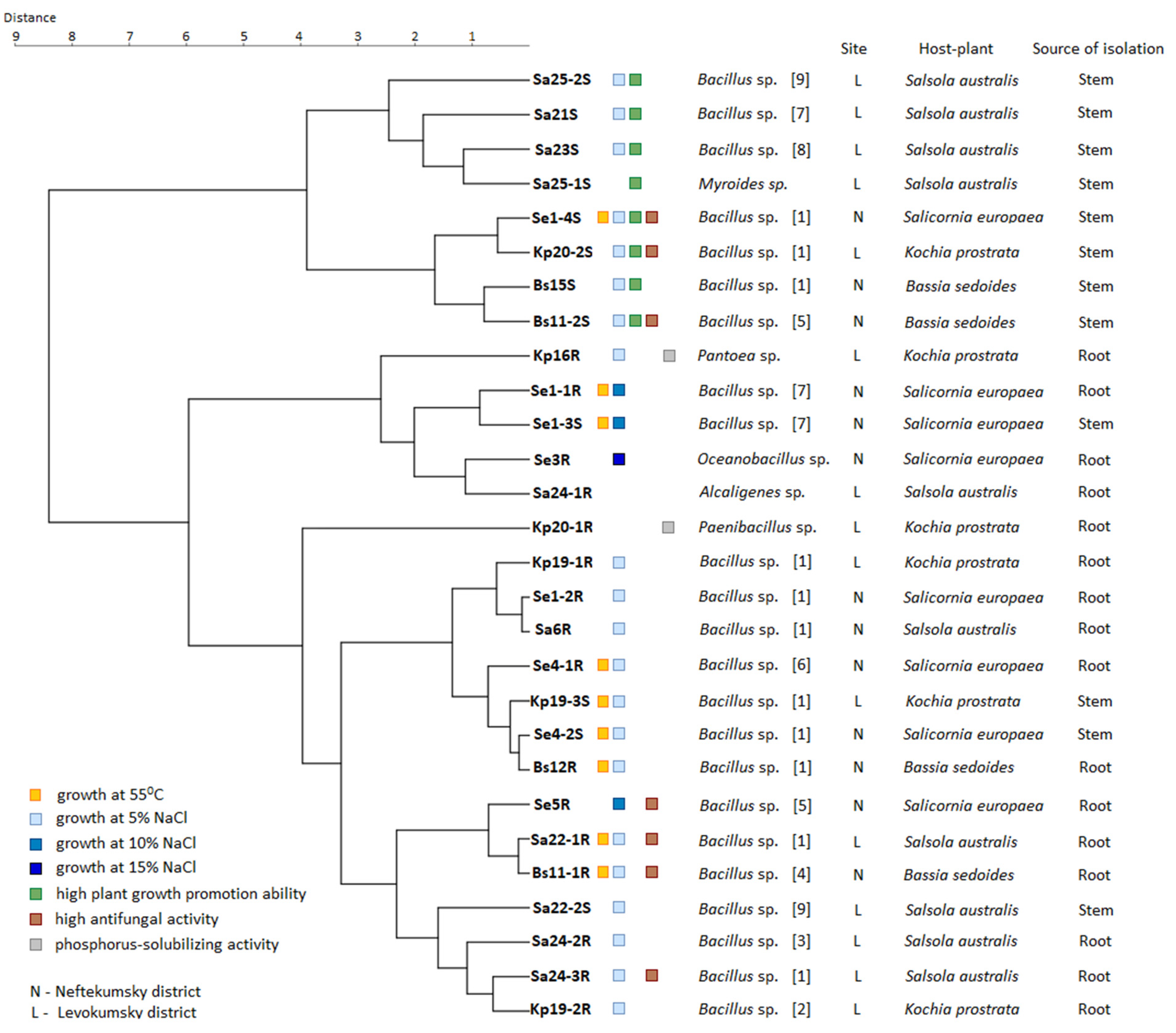 Plants 11 02992 g006