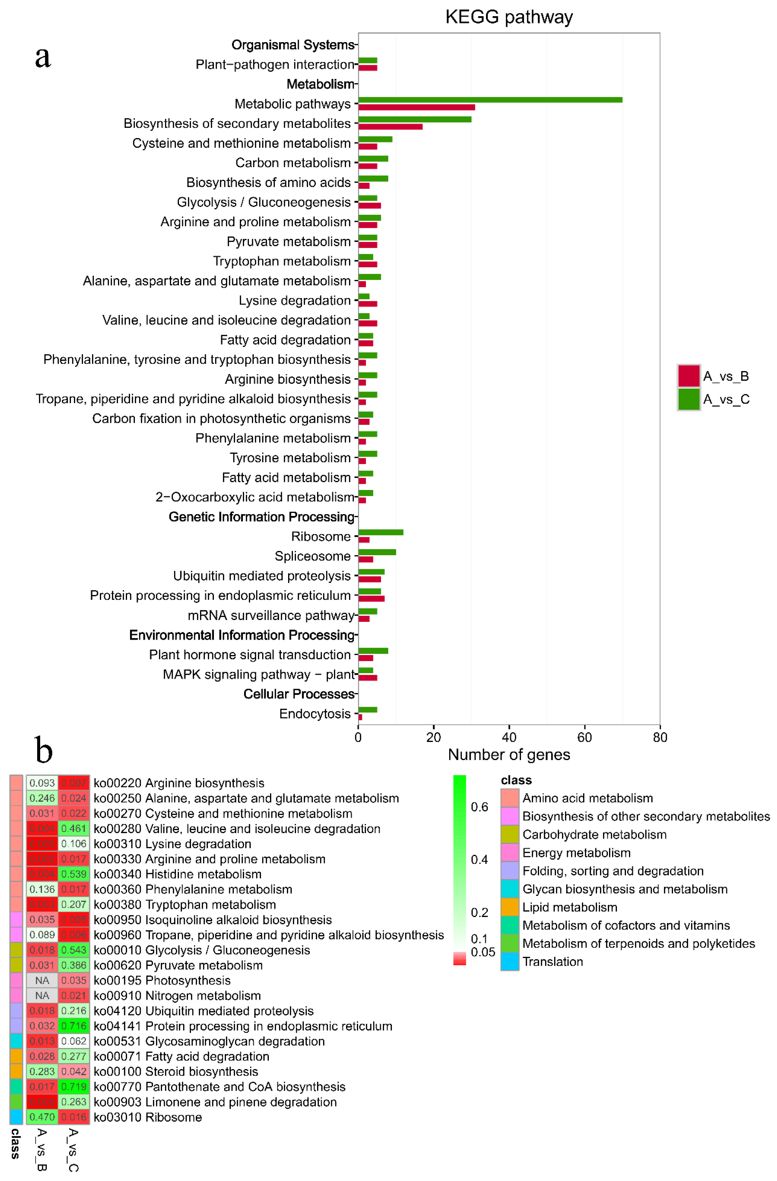 Plants 11 02993 g007 Plants 11 02993 g007