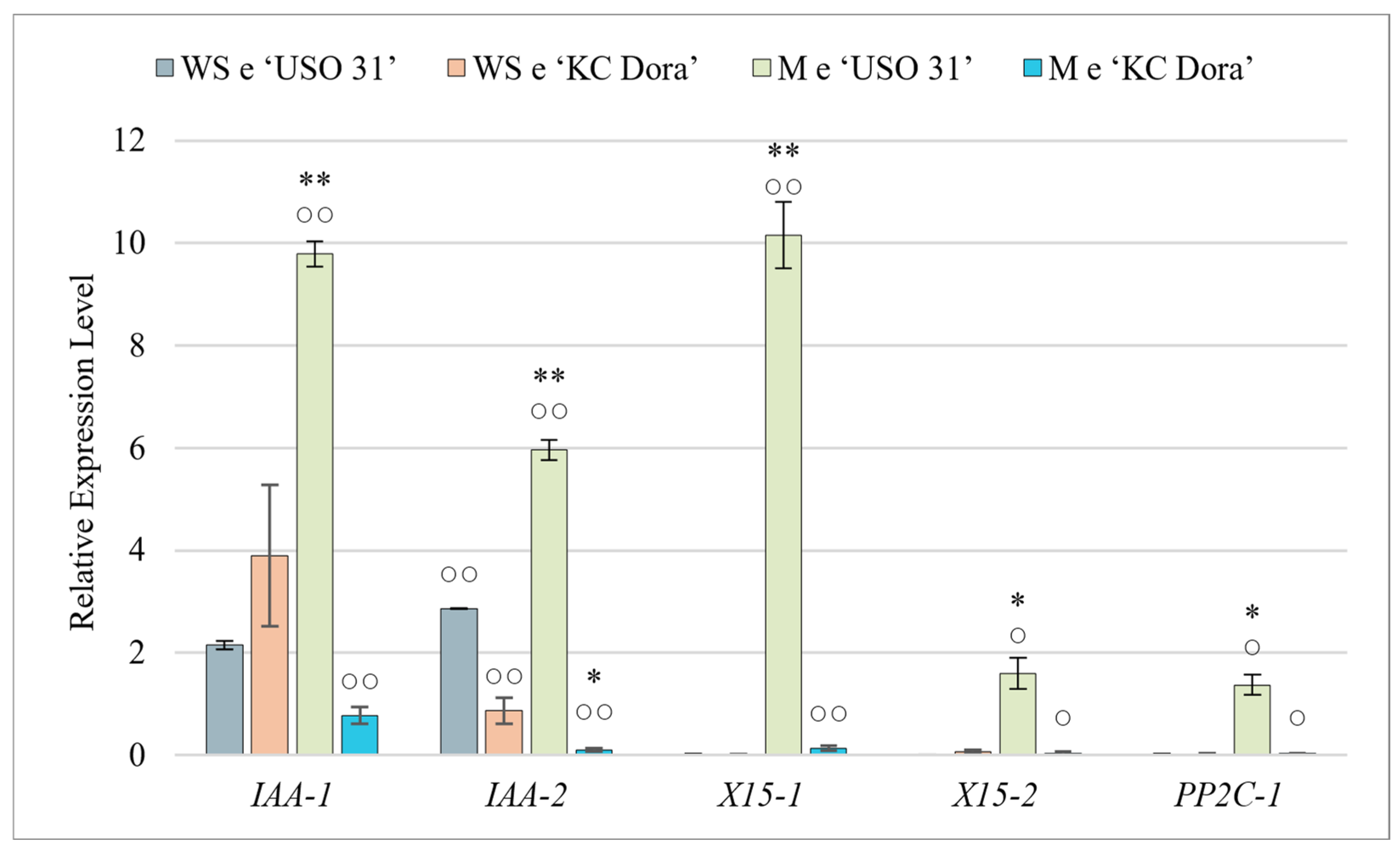 Plants 11 02995 g002