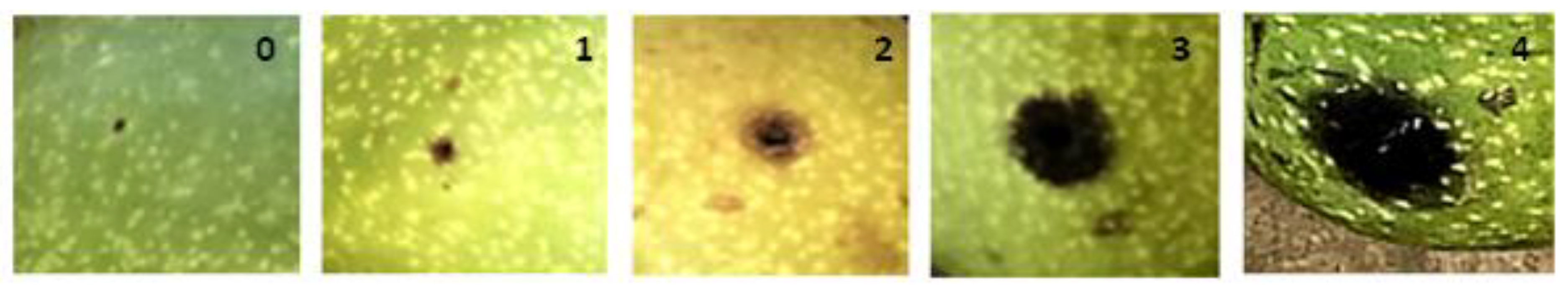 Plants 11 02996 g008