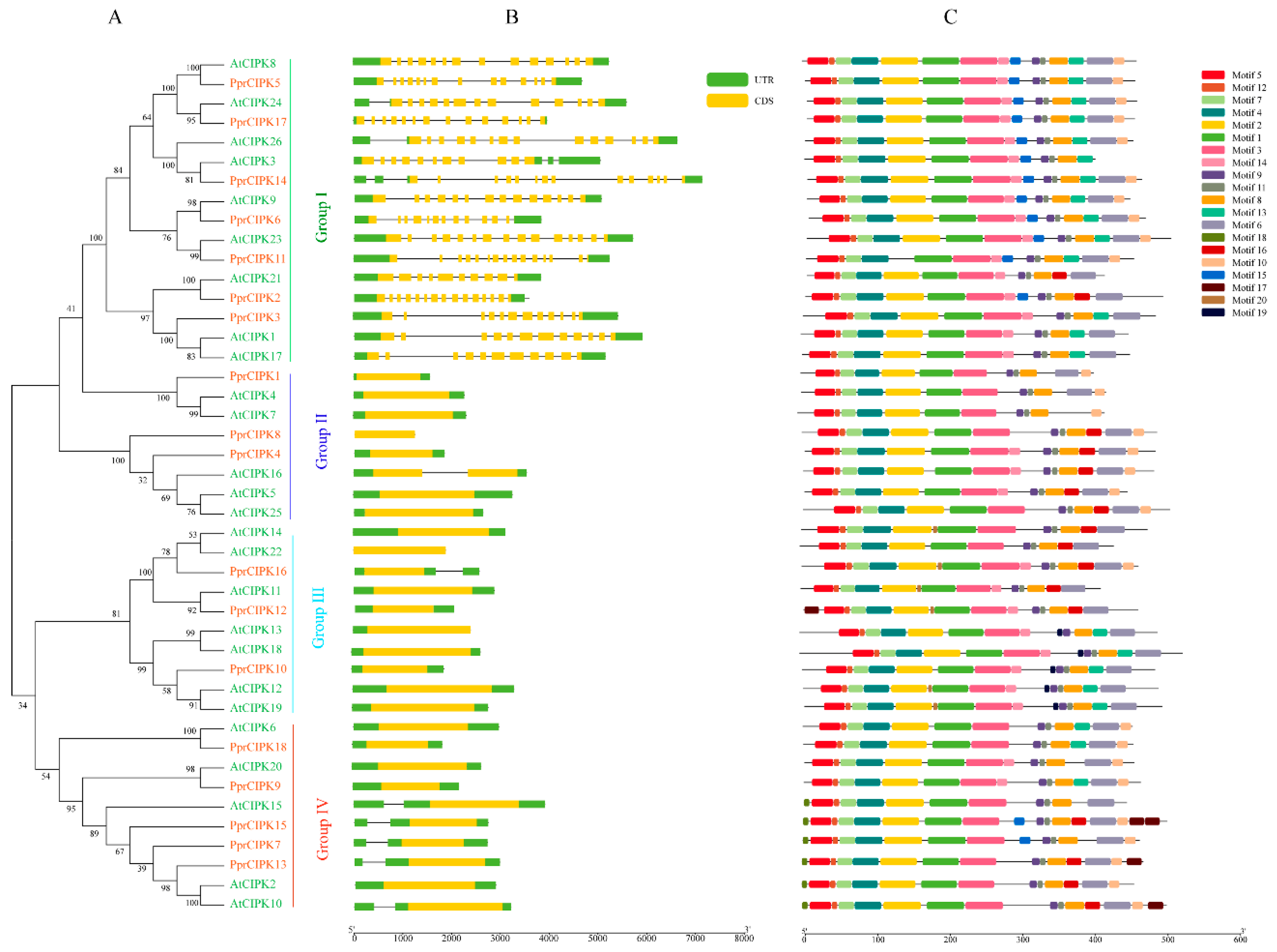 Plants 11 03001 g002