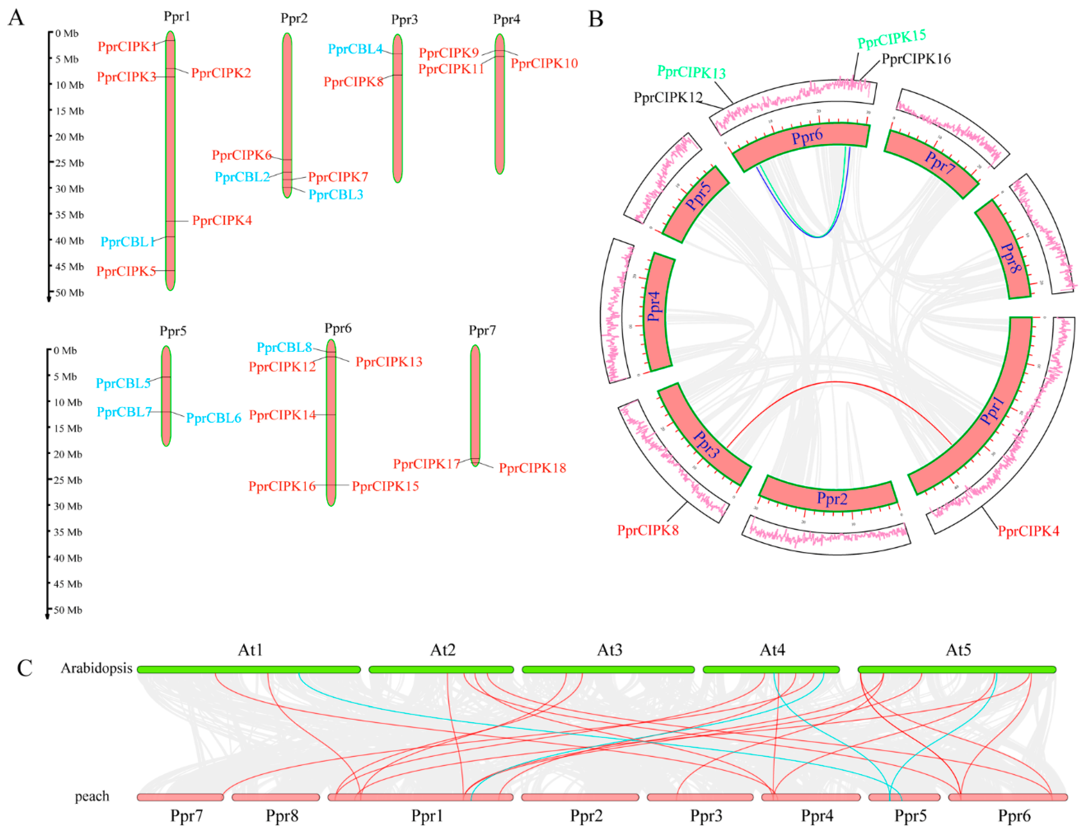 Plants 11 03001 g003