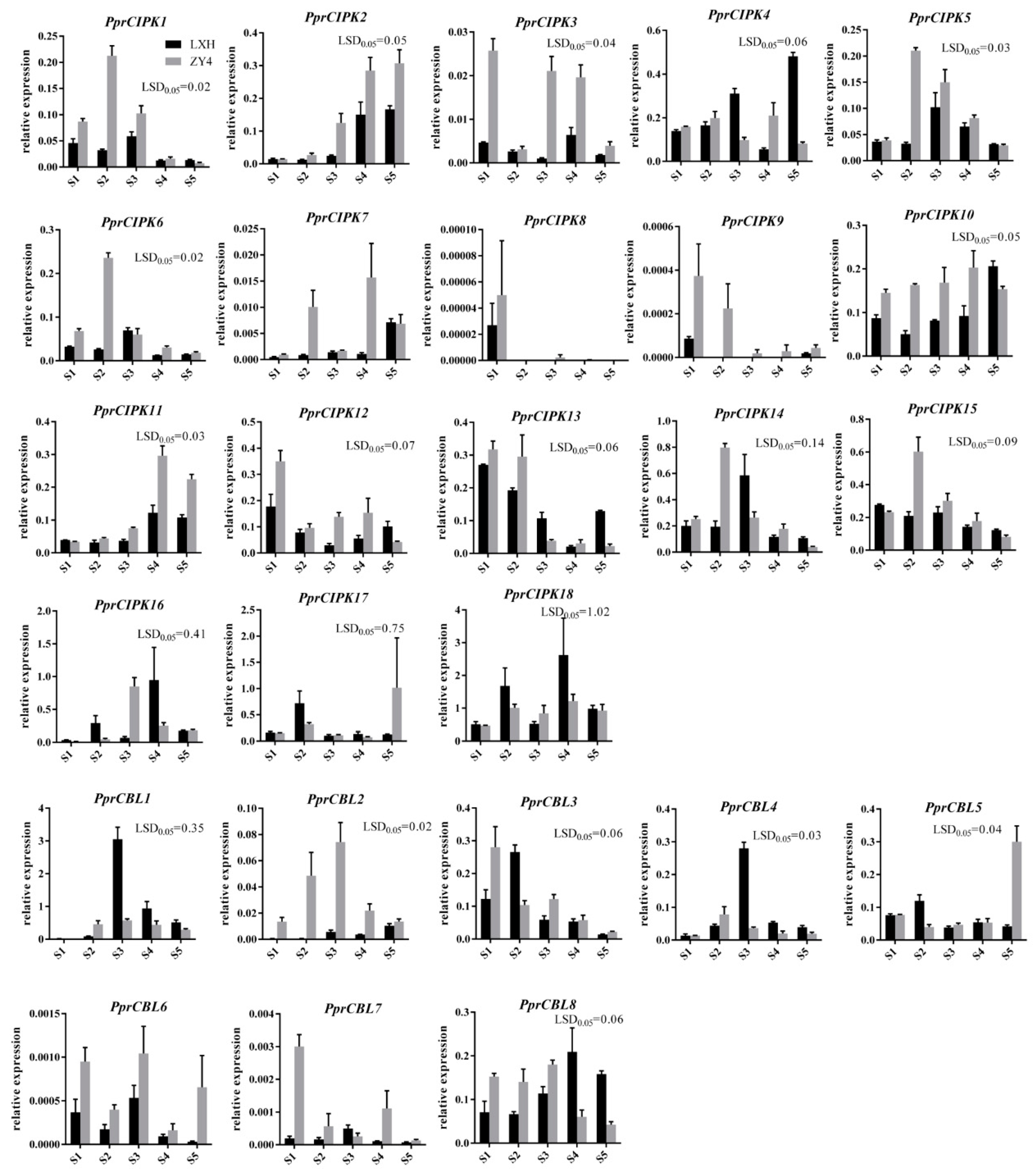 Plants 11 03001 g005
