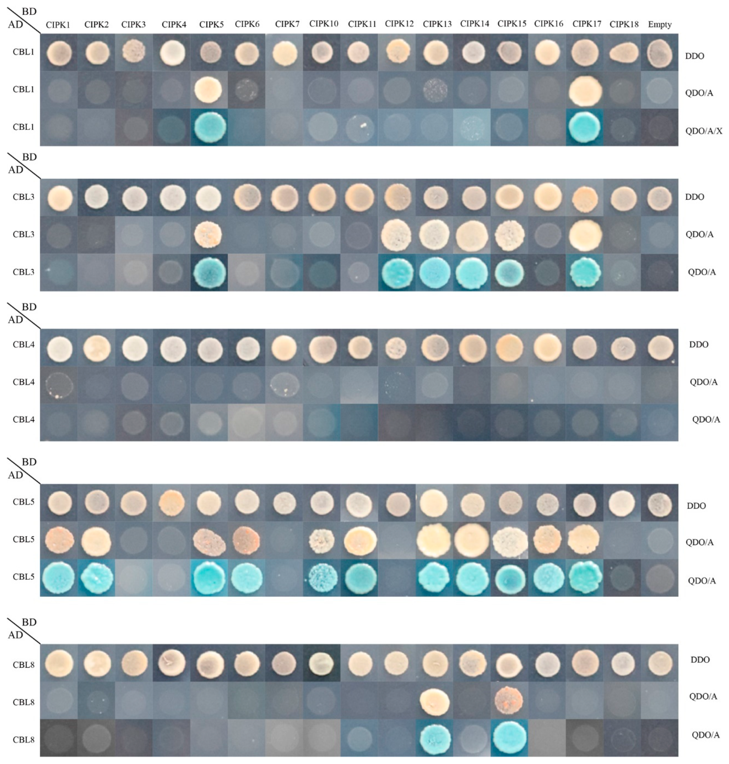 Plants 11 03001 g007