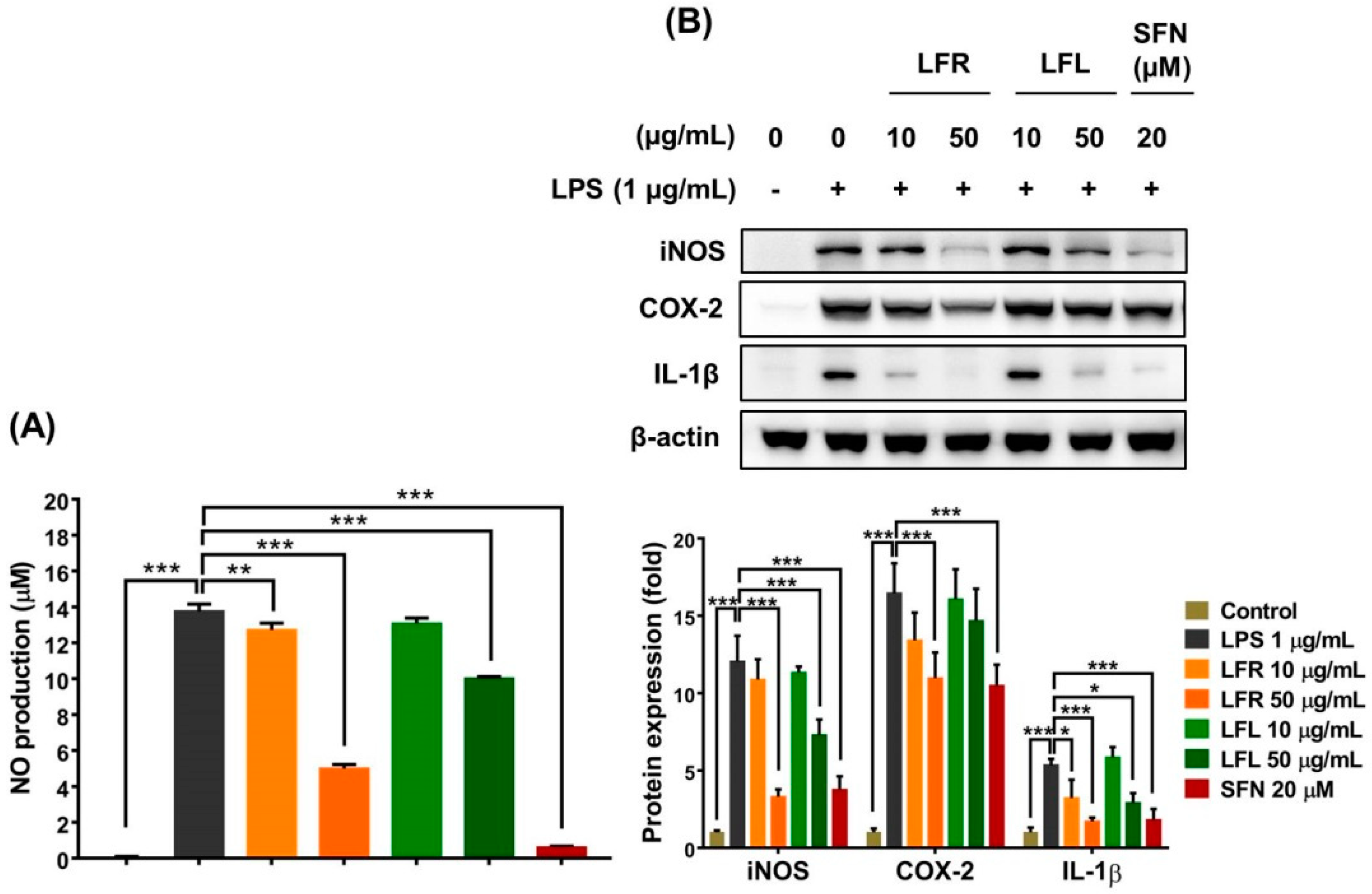 Plants 11 03005 g003