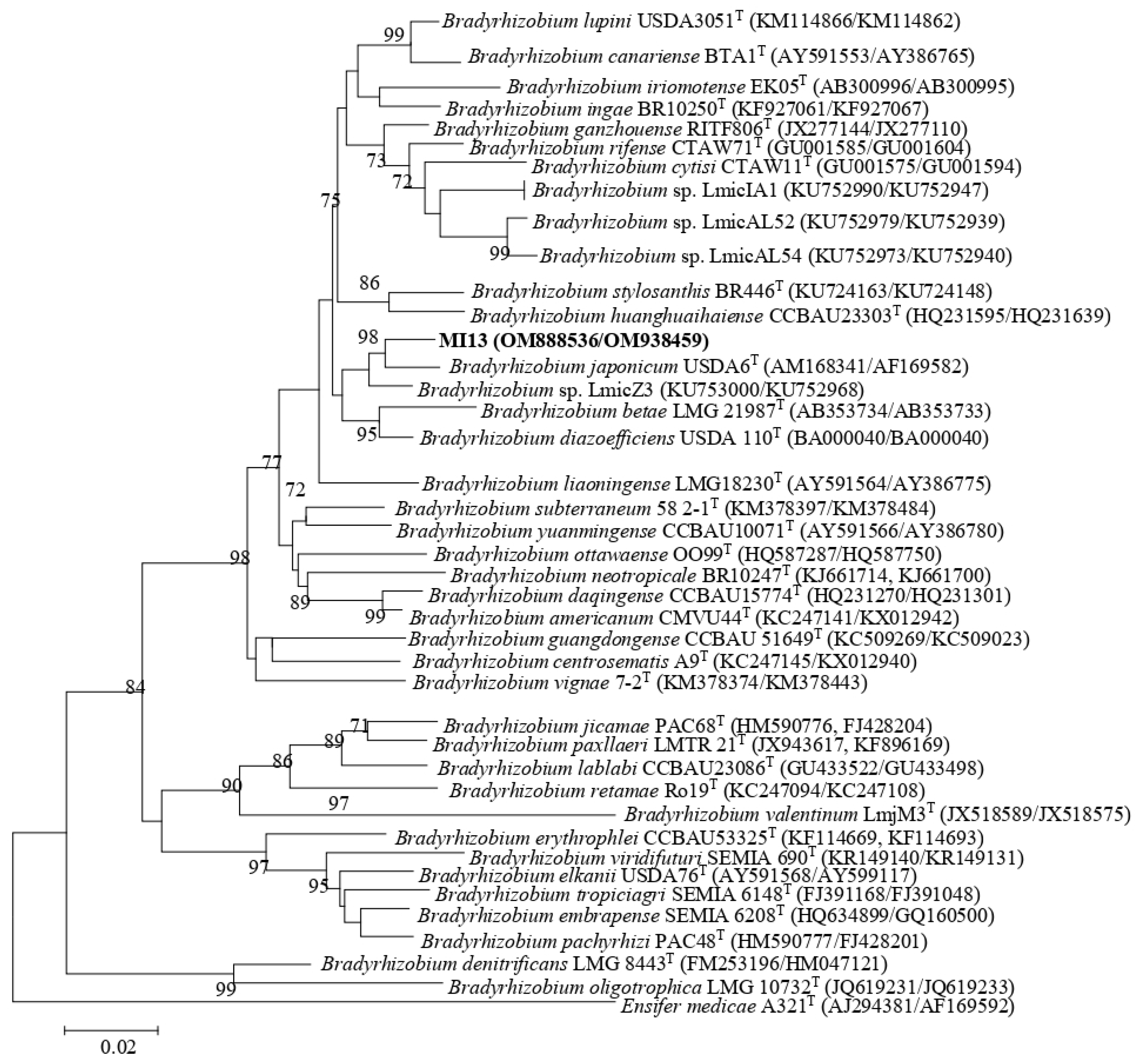 Plants 11 03011 g002 Plants 11 03011 g002