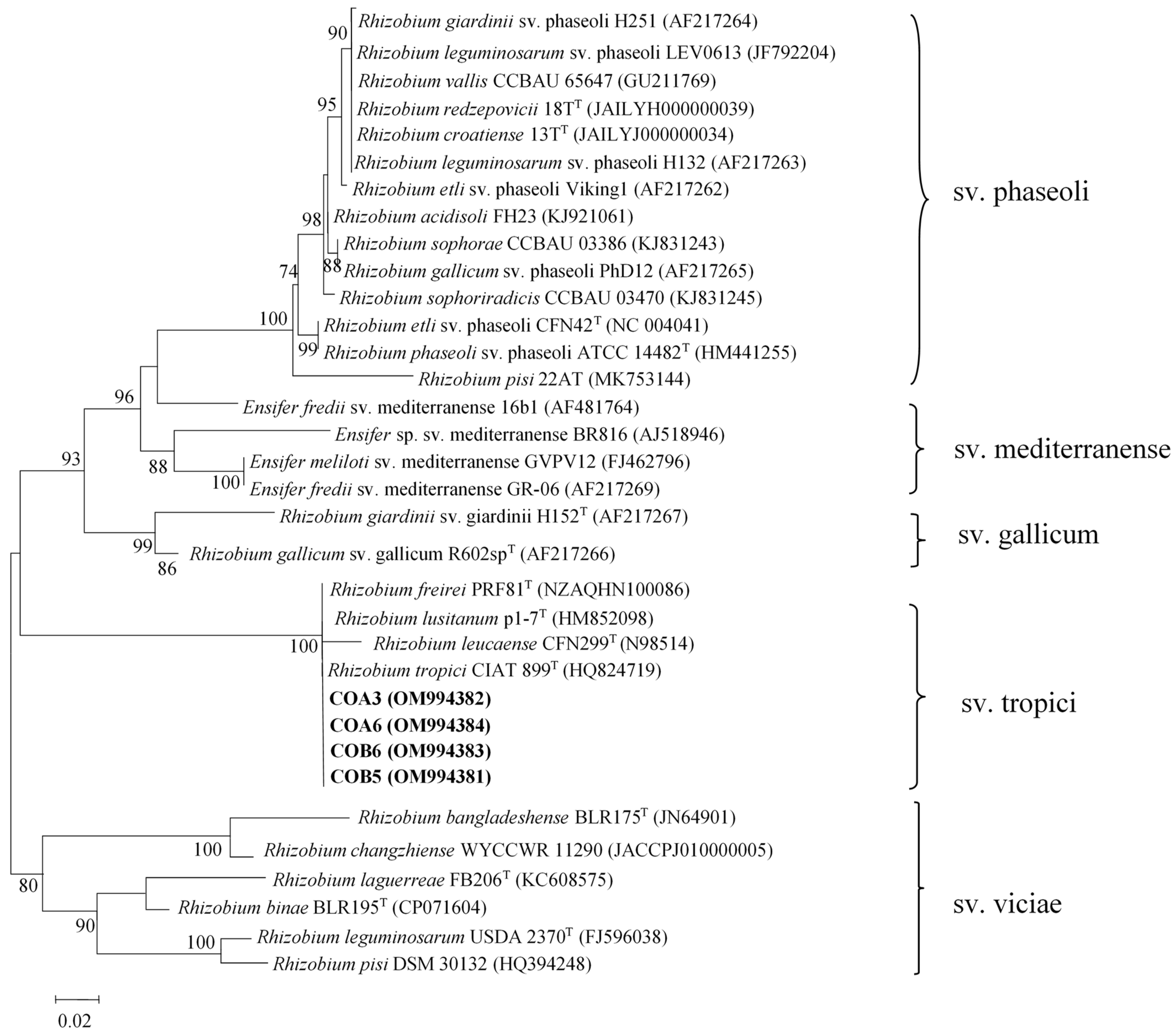 Plants 11 03011 g003 Plants 11 03011 g003