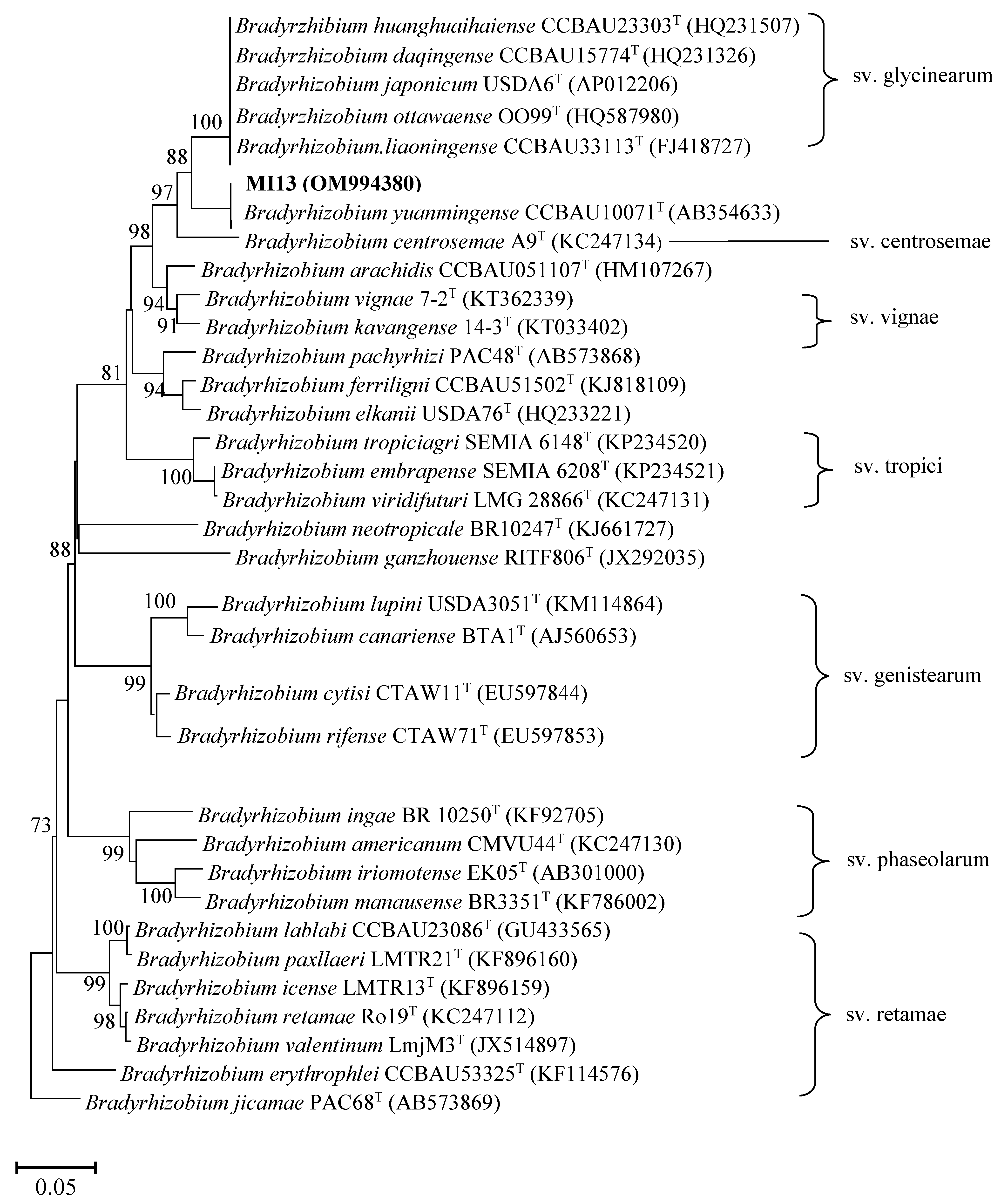 Plants 11 03011 g004 Plants 11 03011 g004