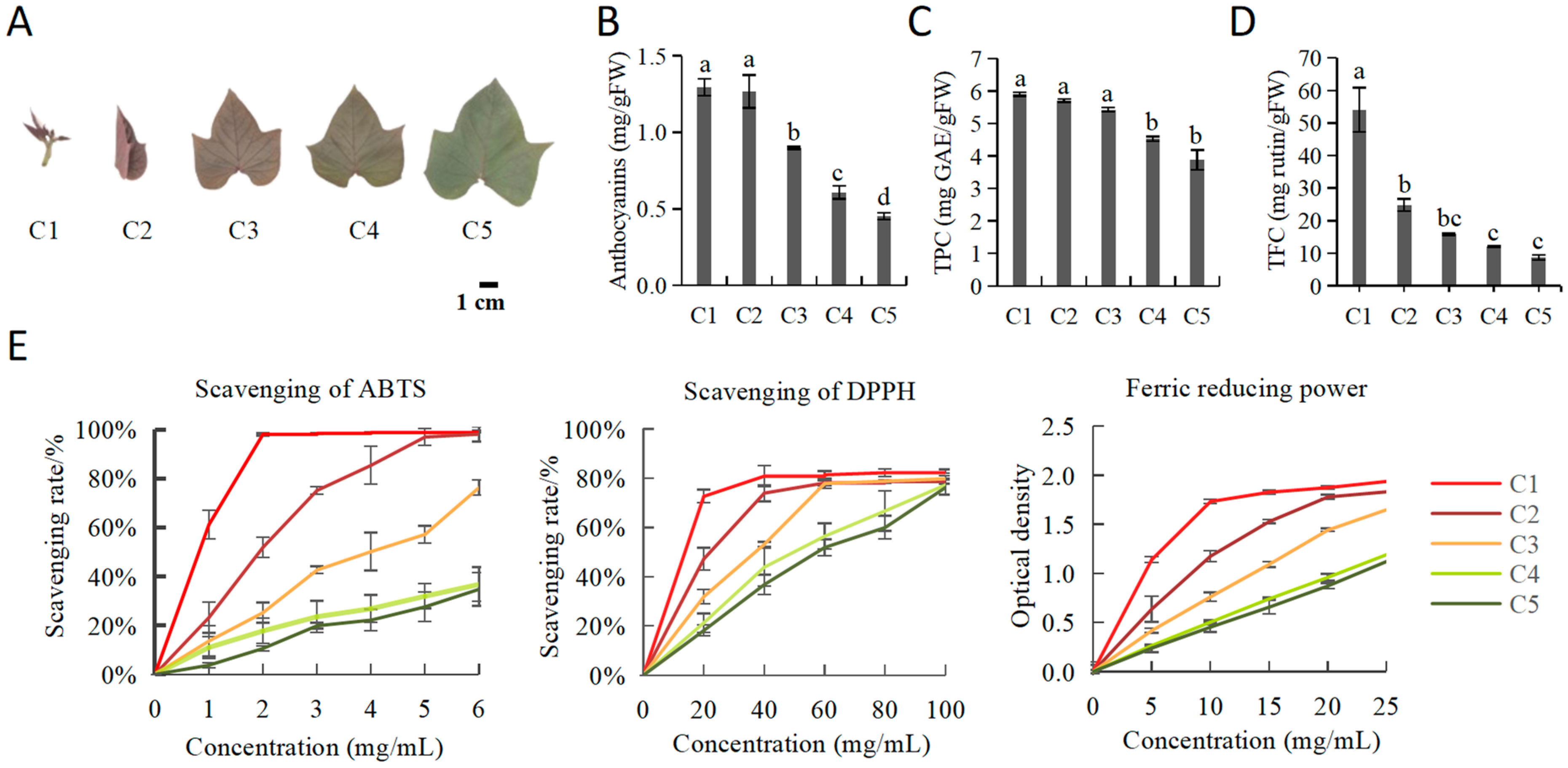 Plants 11 03014 g001