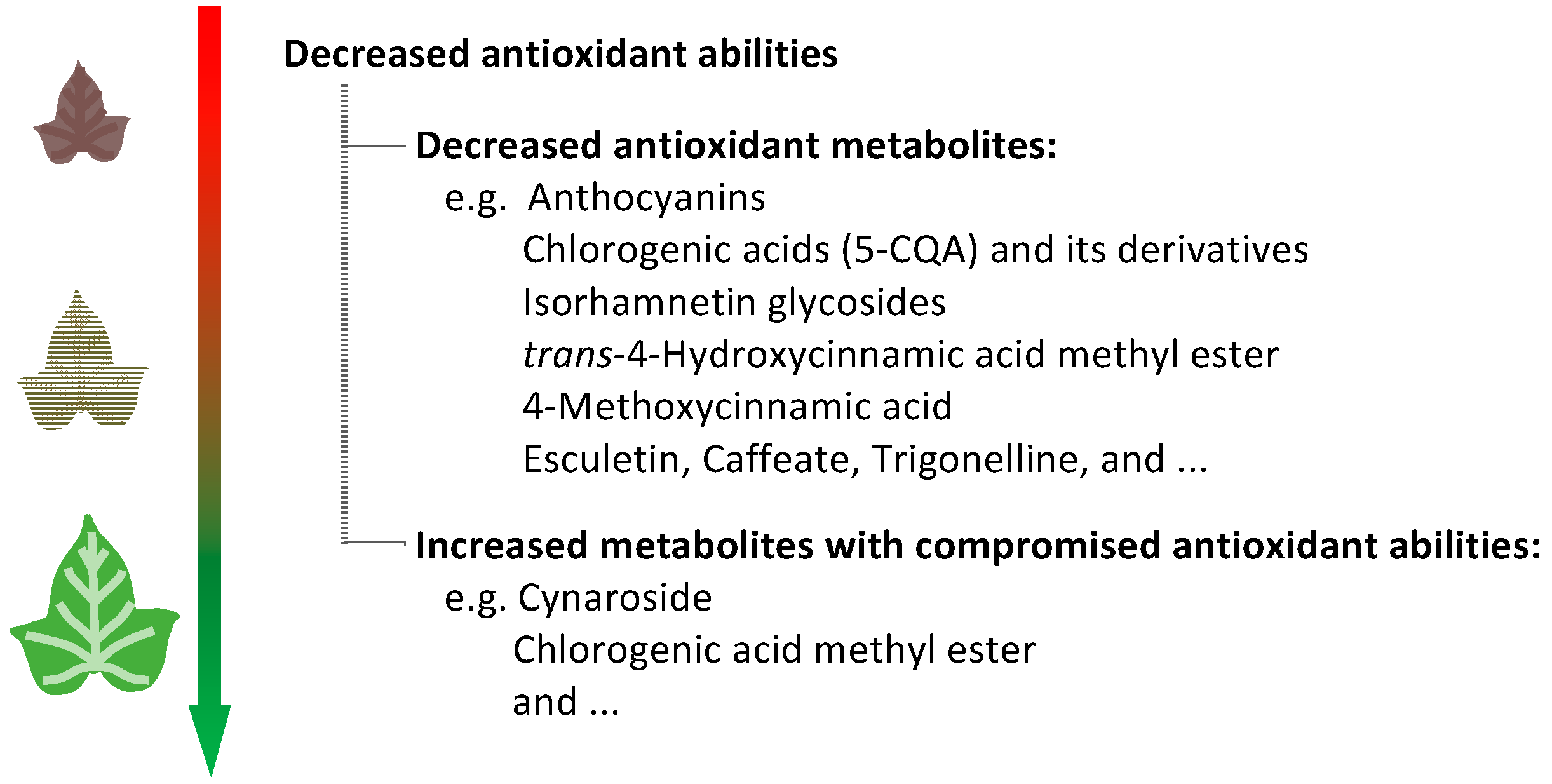 Plants 11 03014 g005