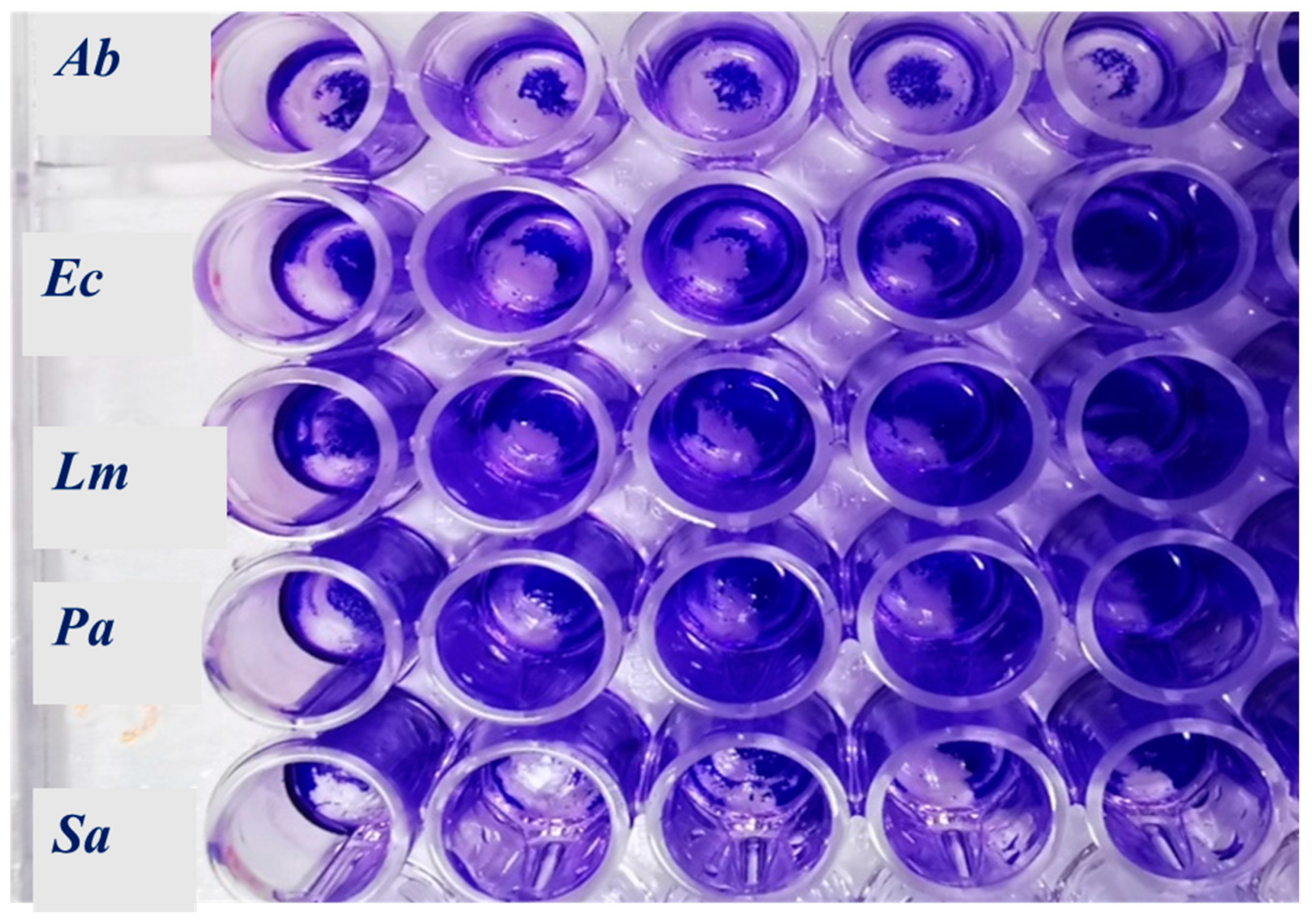 Plants 11 03017 g001