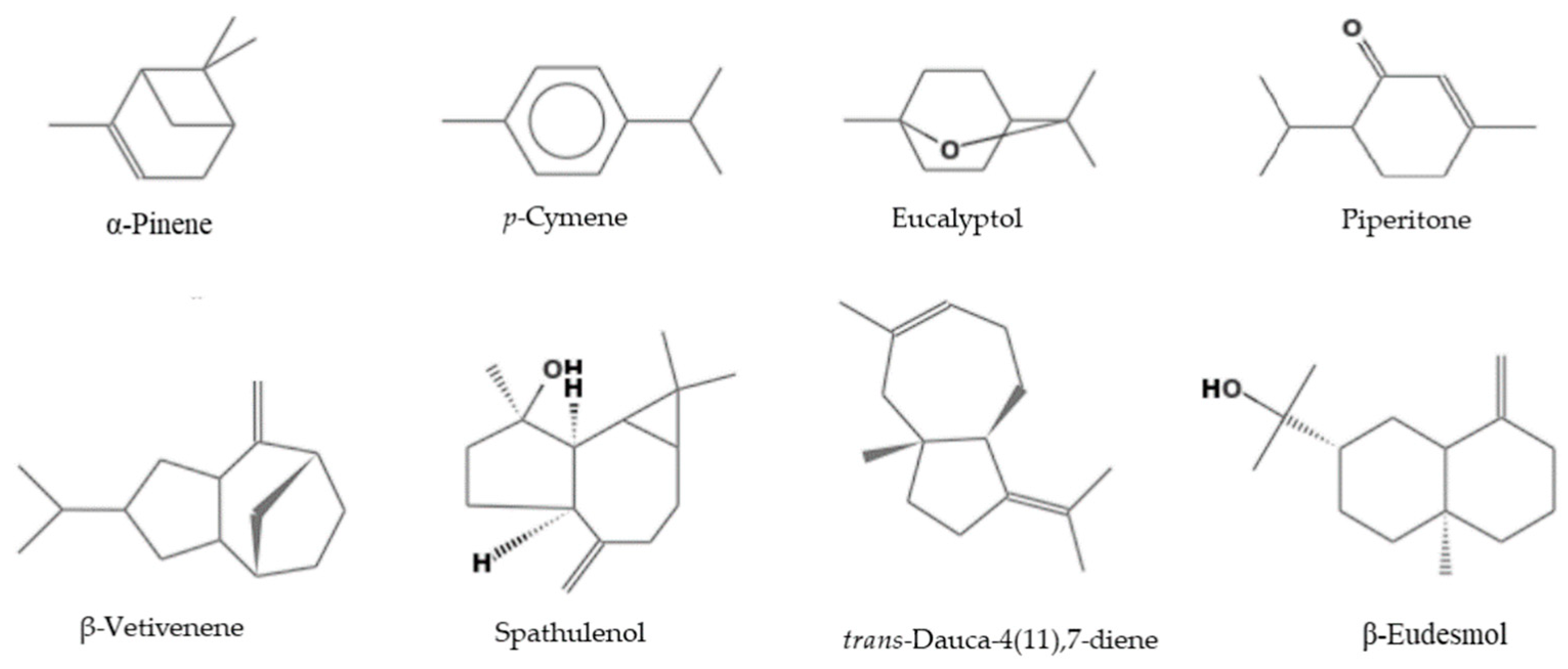 Plants 11 03017 g002