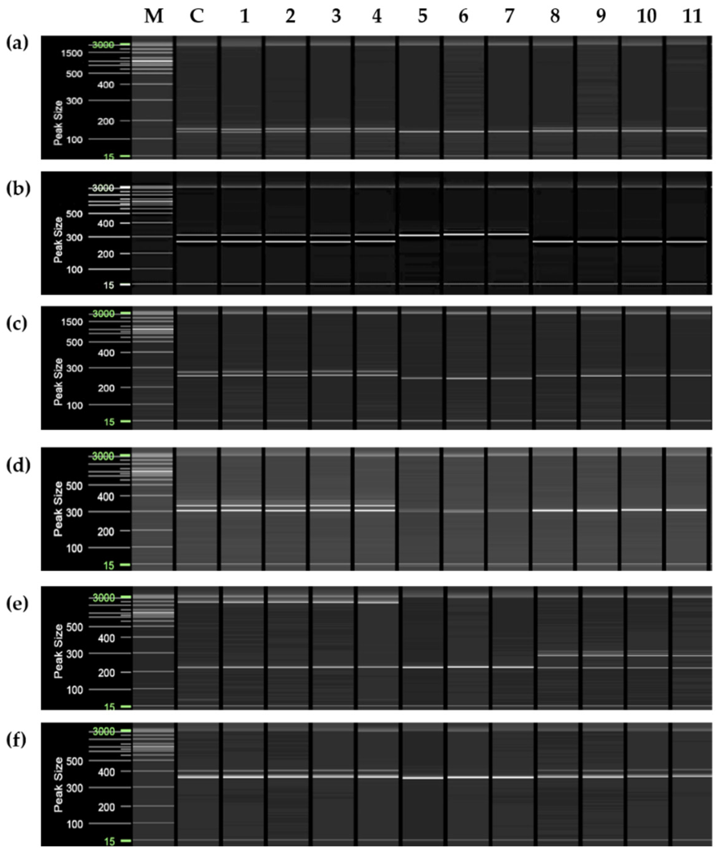 Plants 11 03022 g002