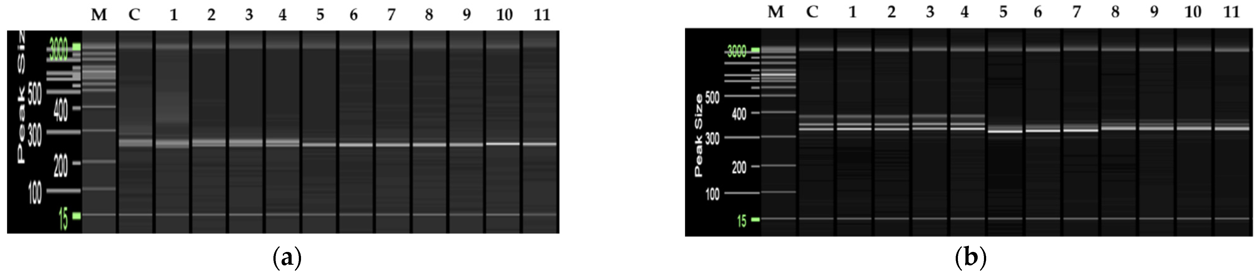 Plants 11 03022 g003