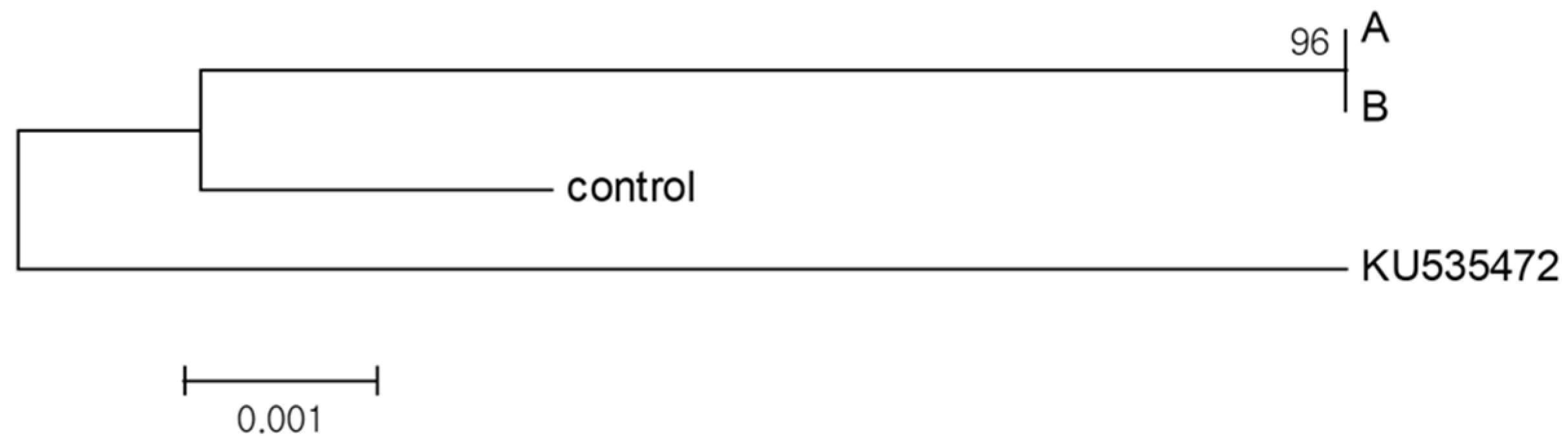 Plants 11 03022 g007