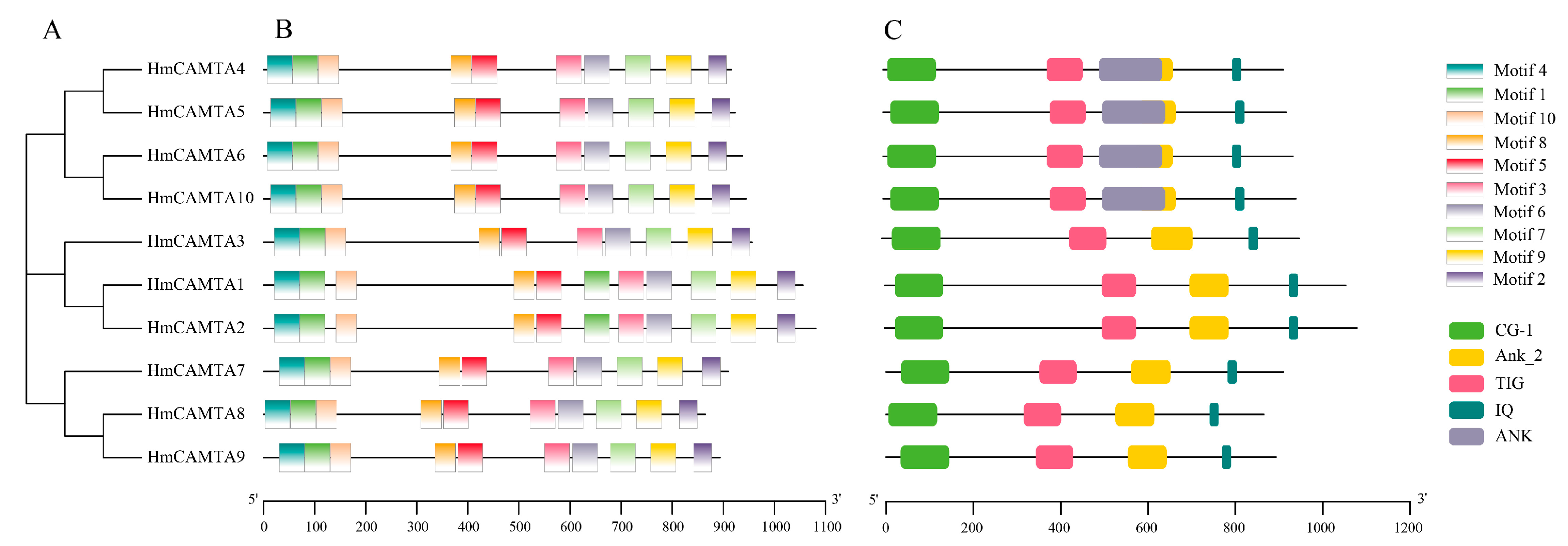 Plants 11 03031 g002