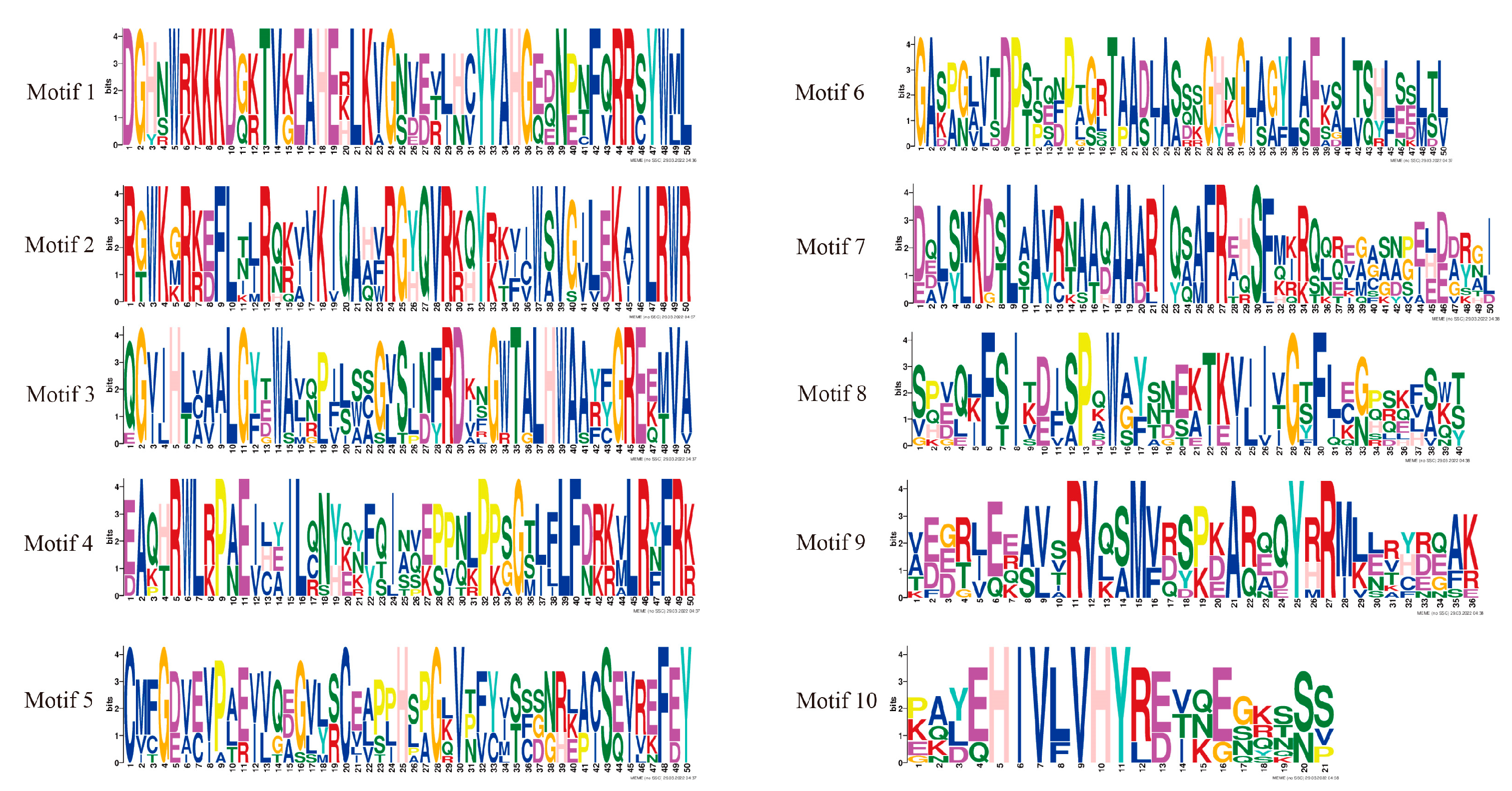 Plants 11 03031 g003
