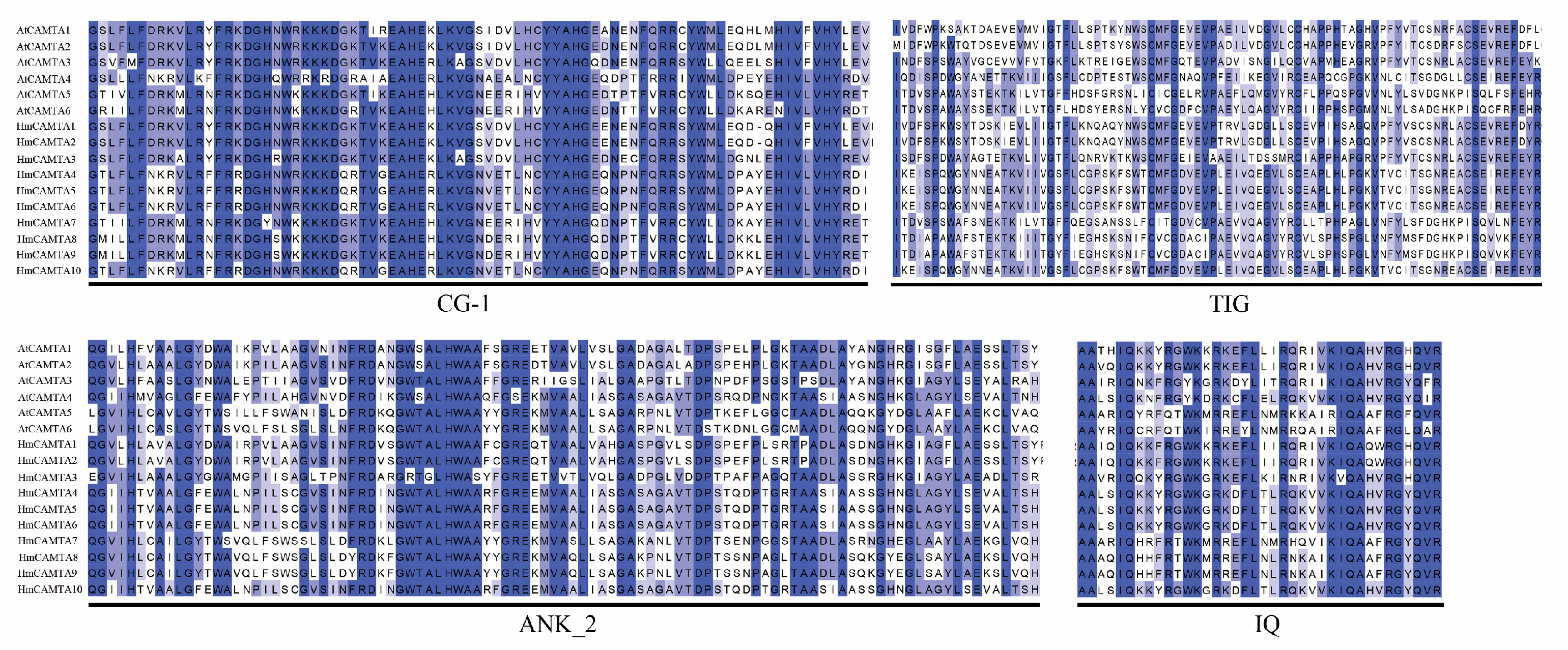Plants 11 03031 g004