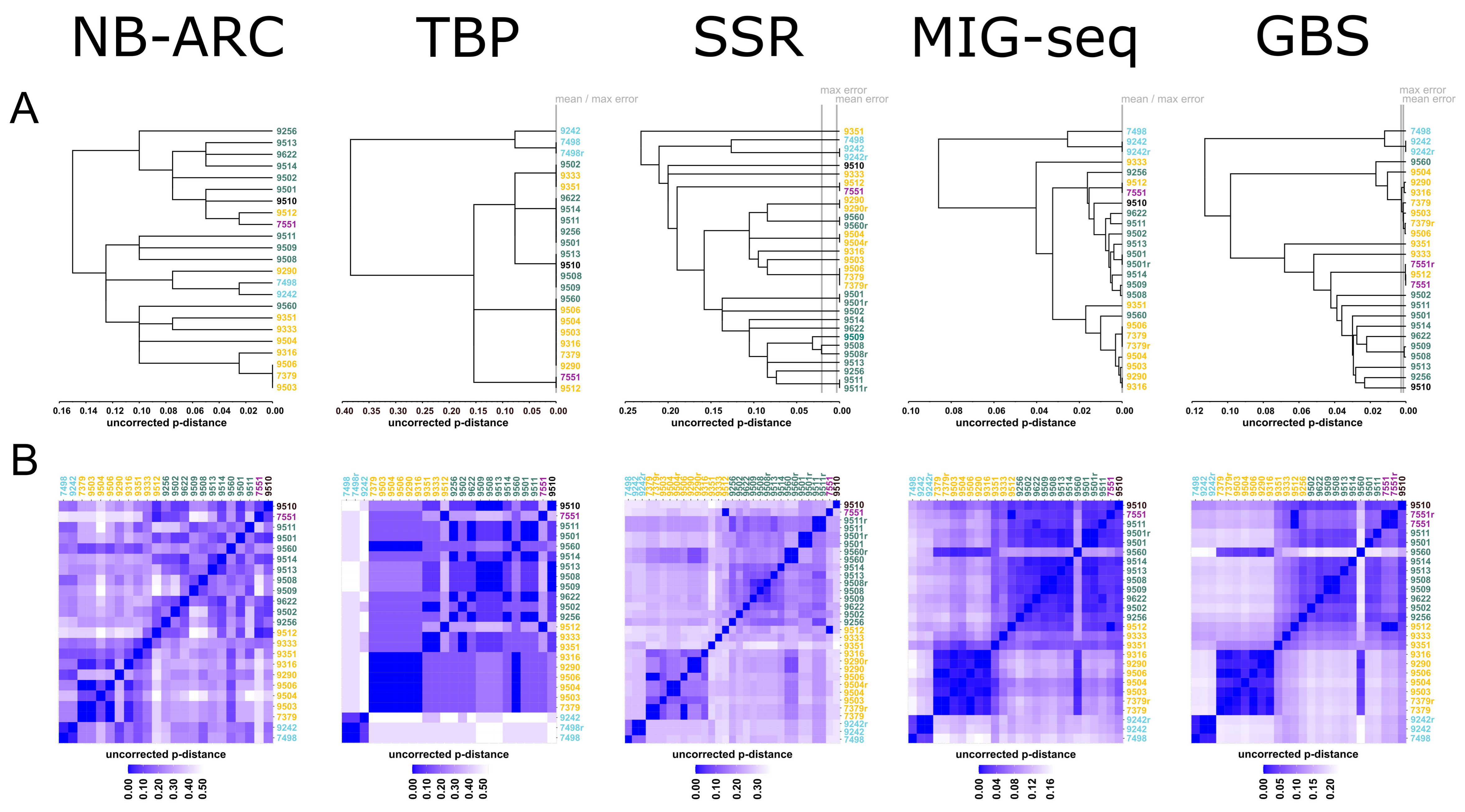 Plants 11 03033 g002