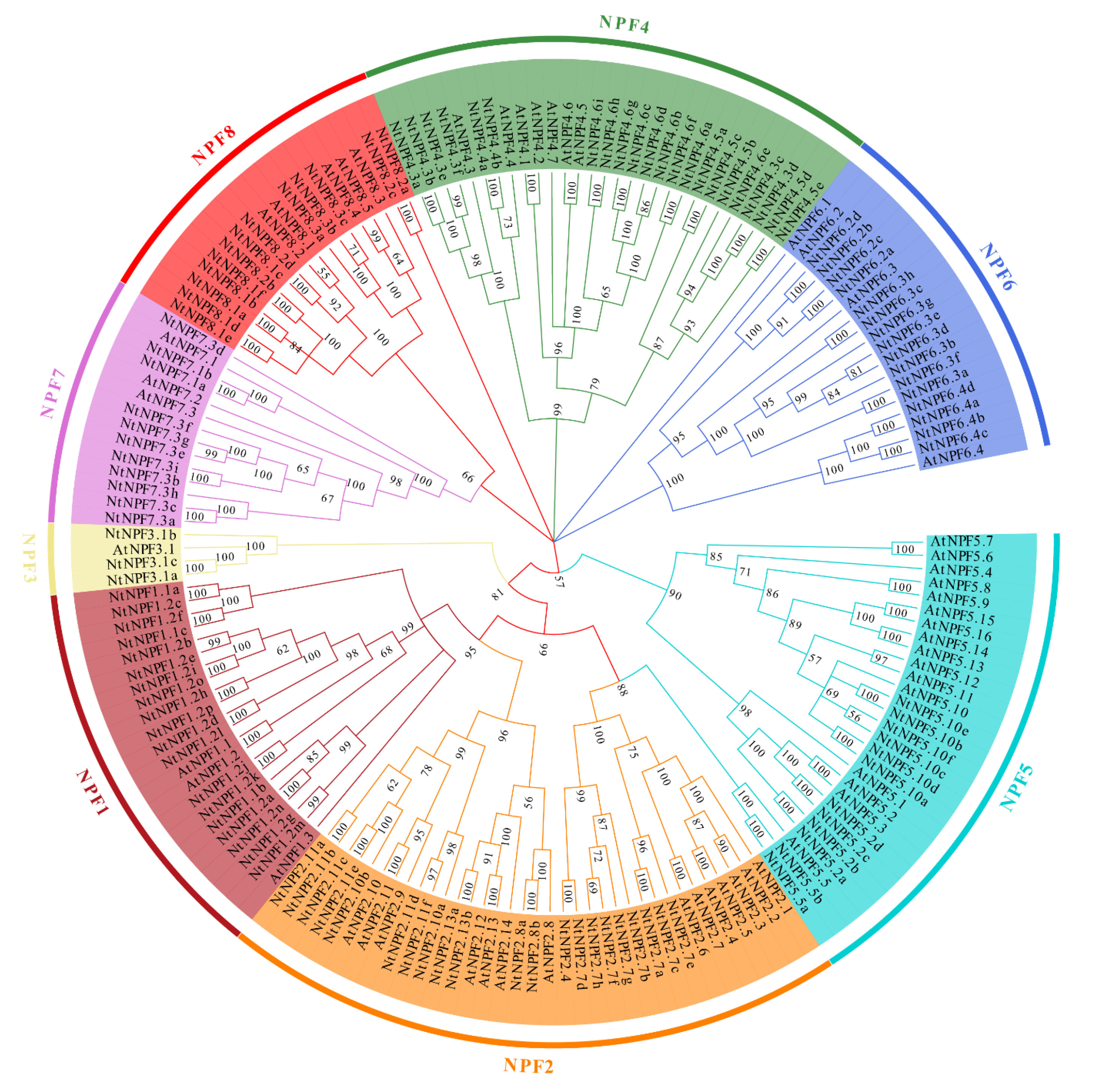 Plants 11 03064 g002