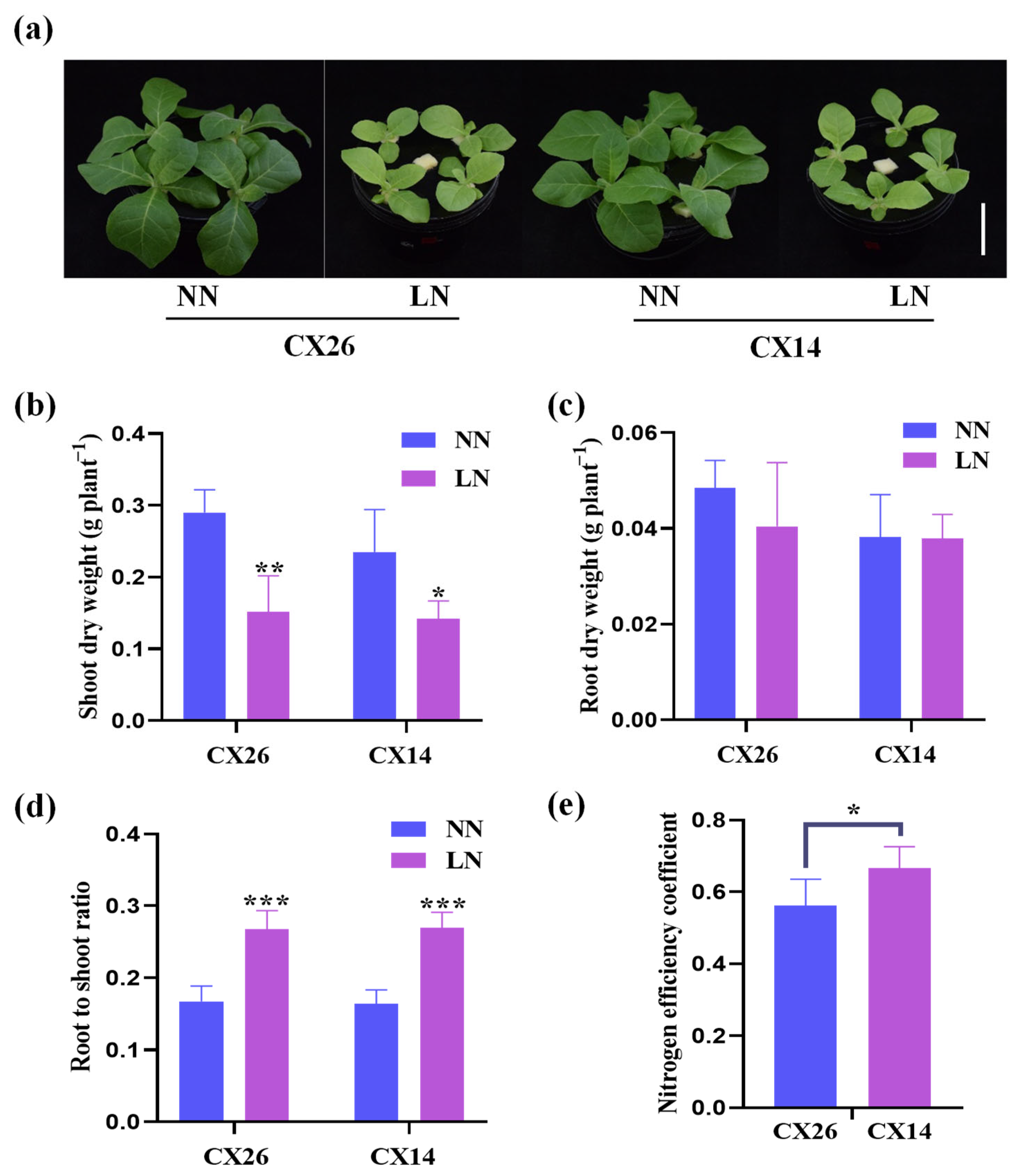 Plants 11 03064 g008