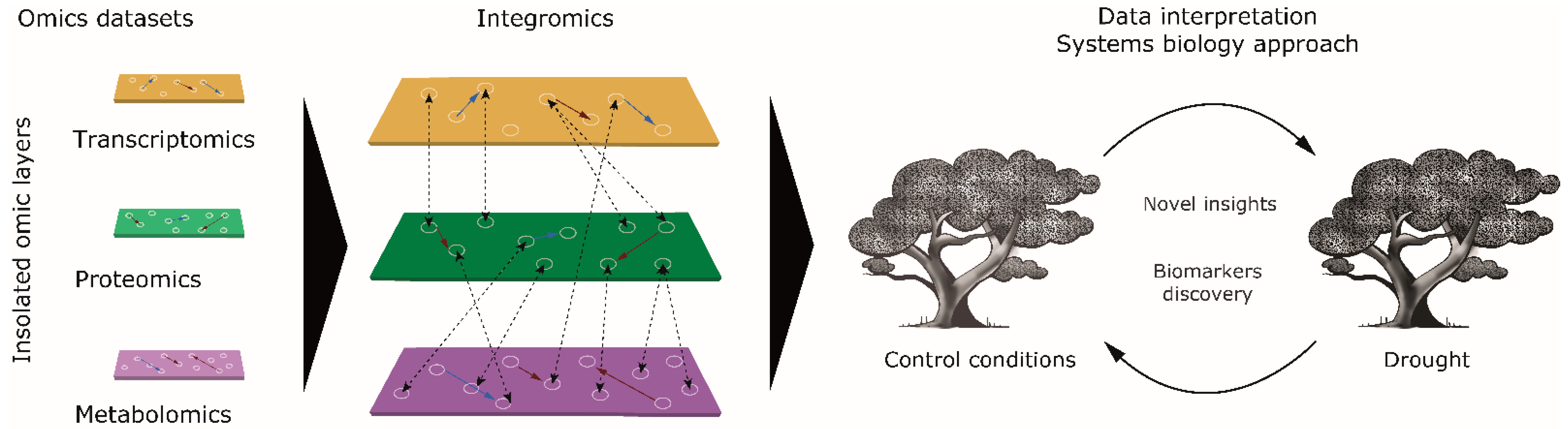 Plants 11 03067 g001