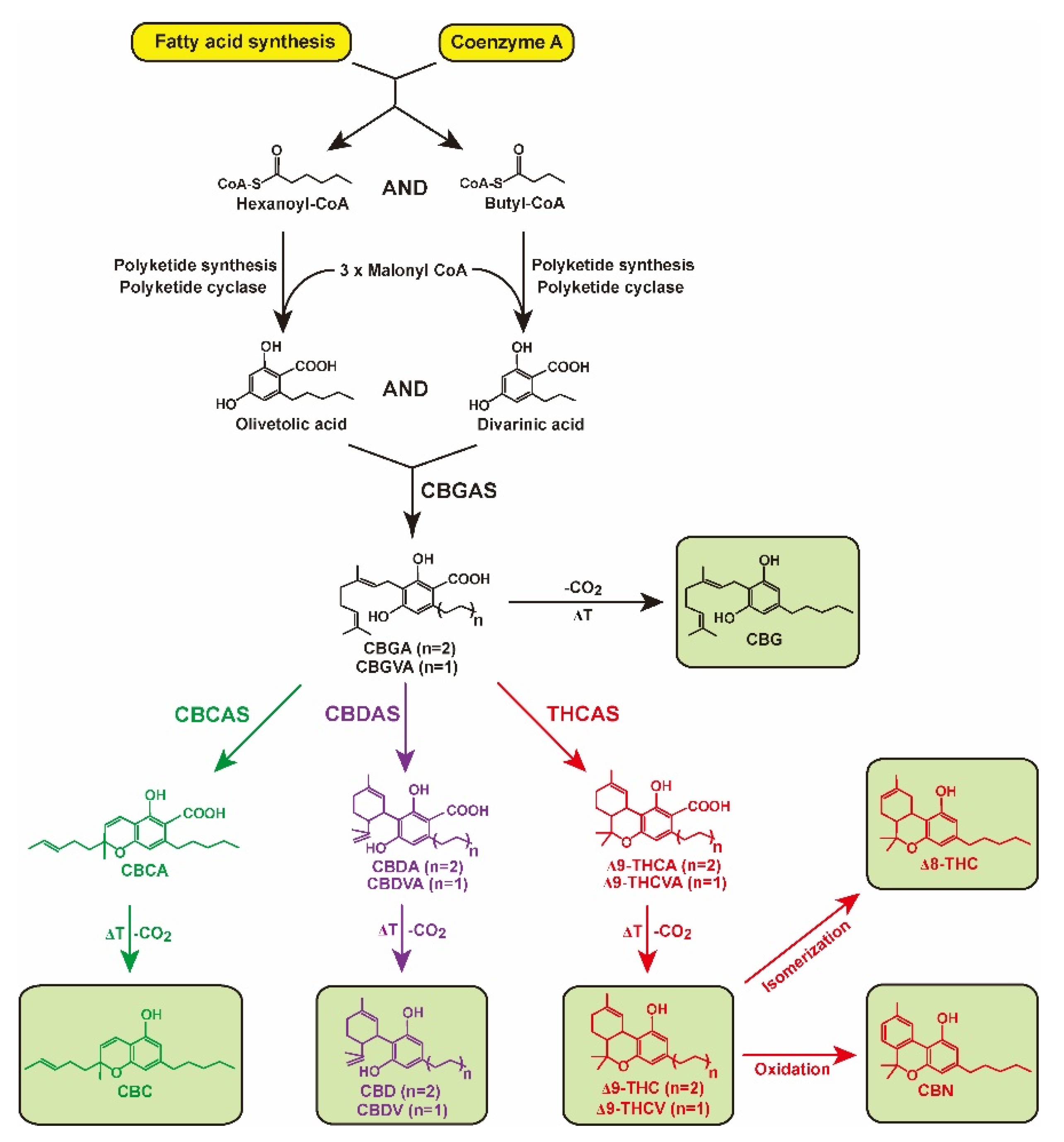 Plants 11 03088 g001