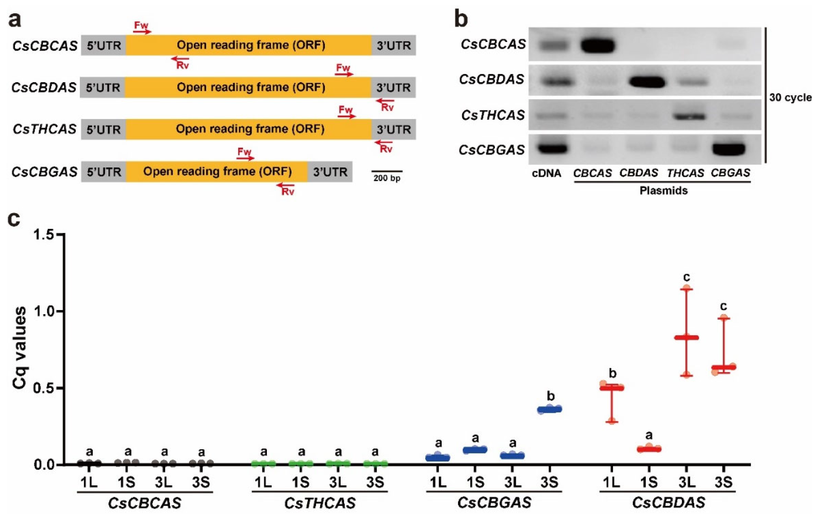 Plants 11 03088 g006